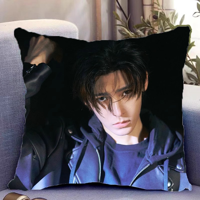 Pre - หมอนลาย โหวหมิงฮ่าว HouMinghao (ไม่ใช่สินค้าอฟช.) 40 cm.