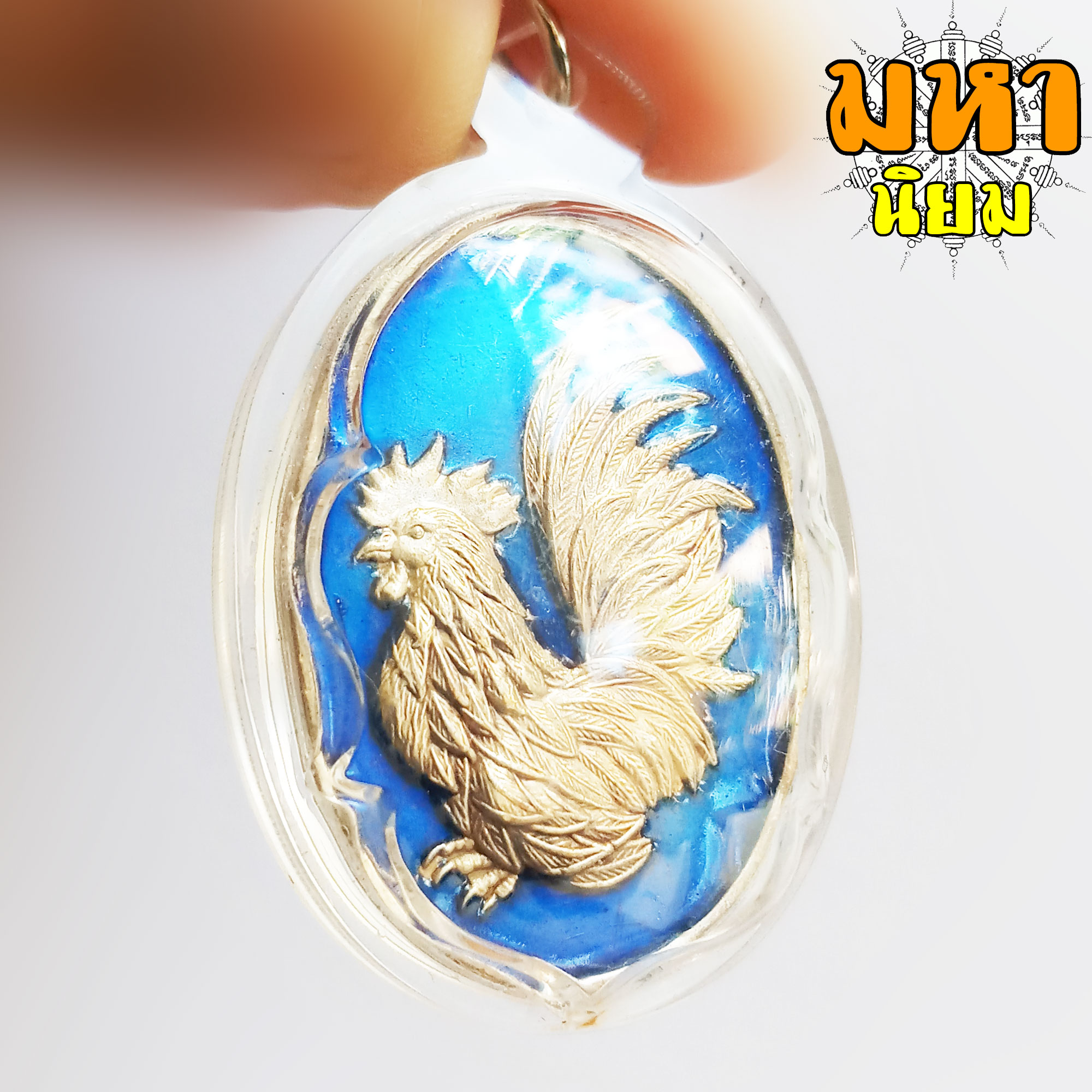 เหรียญไก่คู่บารมี เนื้ออัลปาก้าลงยา หลวงปู่สรวง วรสุทฺโธ วัดถ้ำพรหมสวัสดิ์ จ.ลพบุรี เลี่ยมกรอบอย่างดี