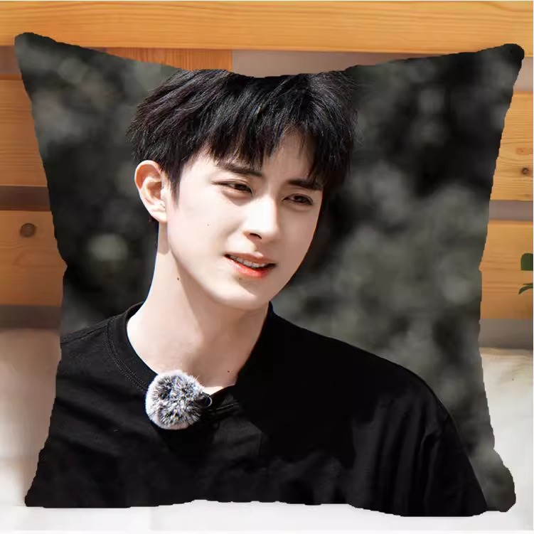 Pre - หมอนลาย อ๋าวรุ่ยเผิง AoRuipeng 40 cm.(ไม่ใช่สินค้าอฟช.)