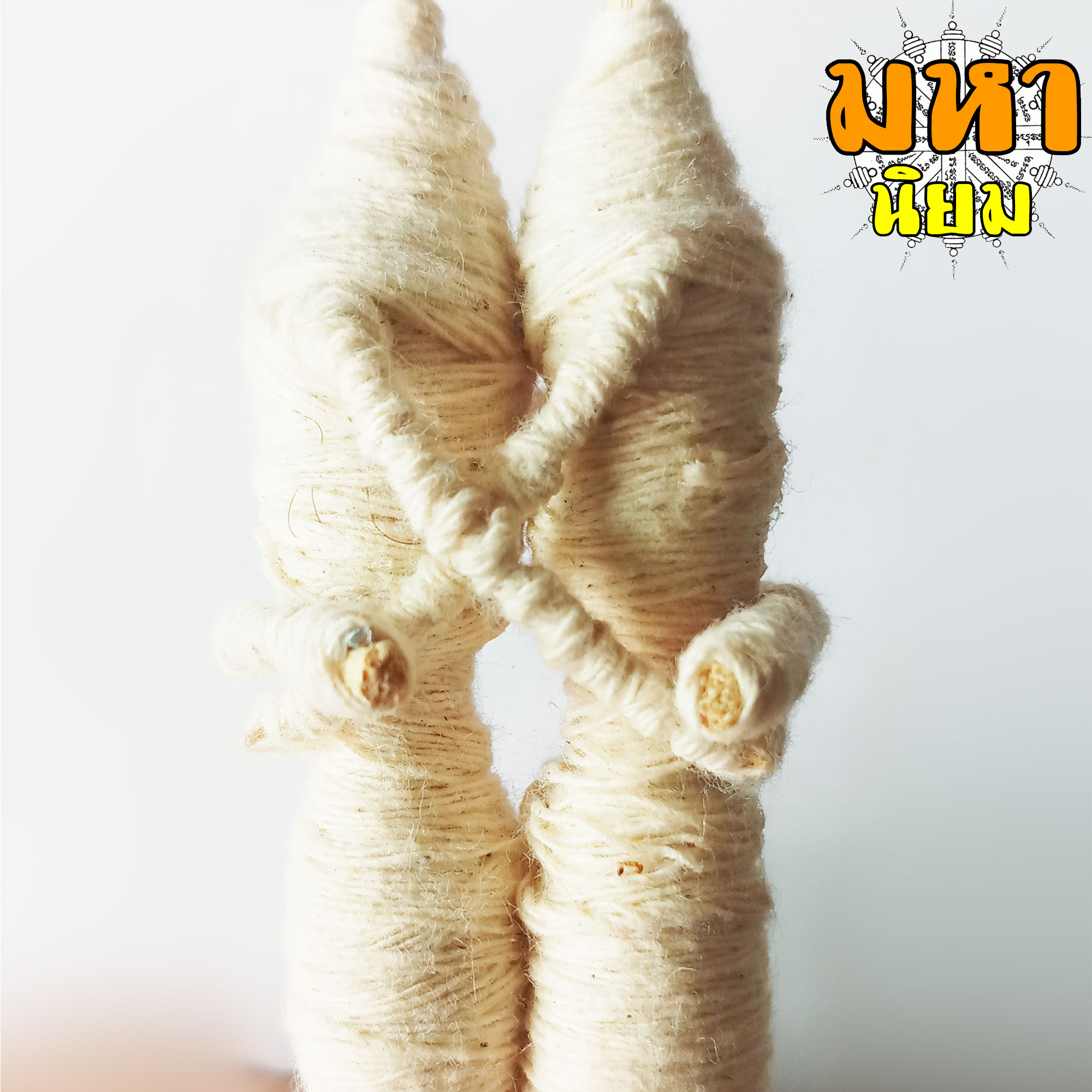 อิ้นคู่ หุ่นพยนต์ ครูบาเดช จ.ลำปาง