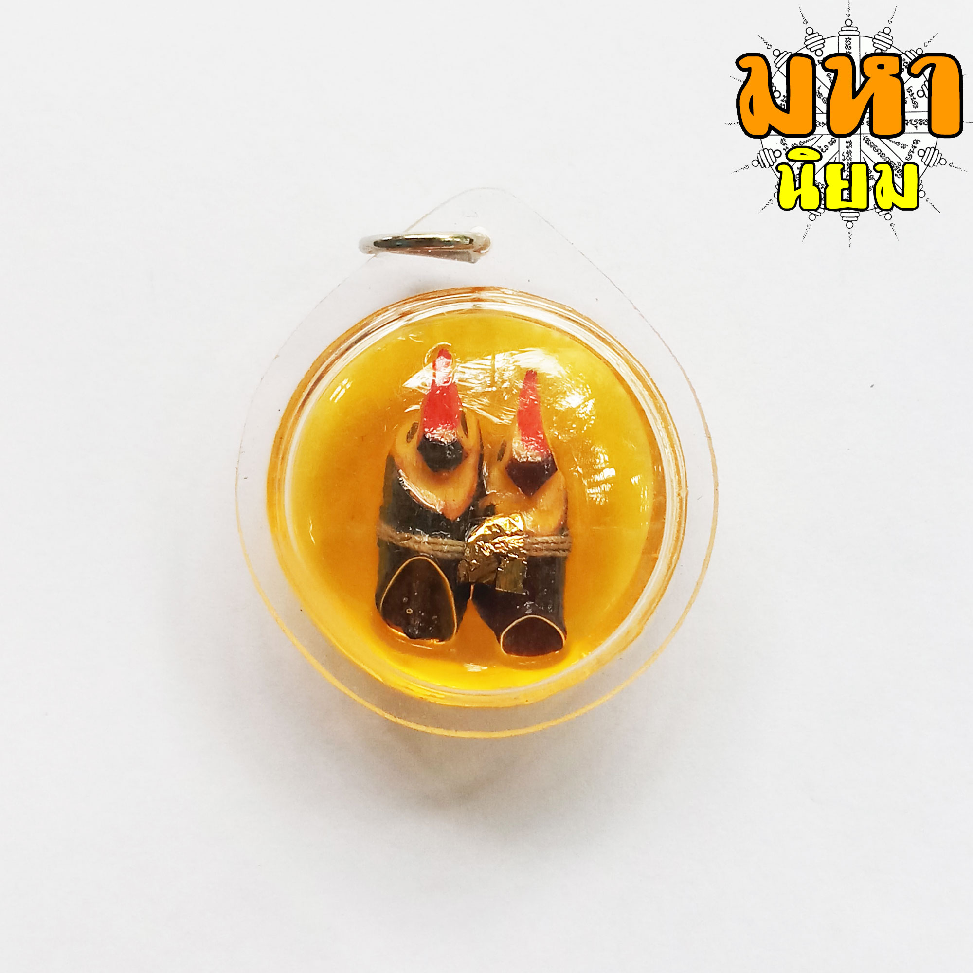 สาริกาลิ้นทอง แช่น้ำมันมนต์ เลี่ยมกรอบอย่างดี