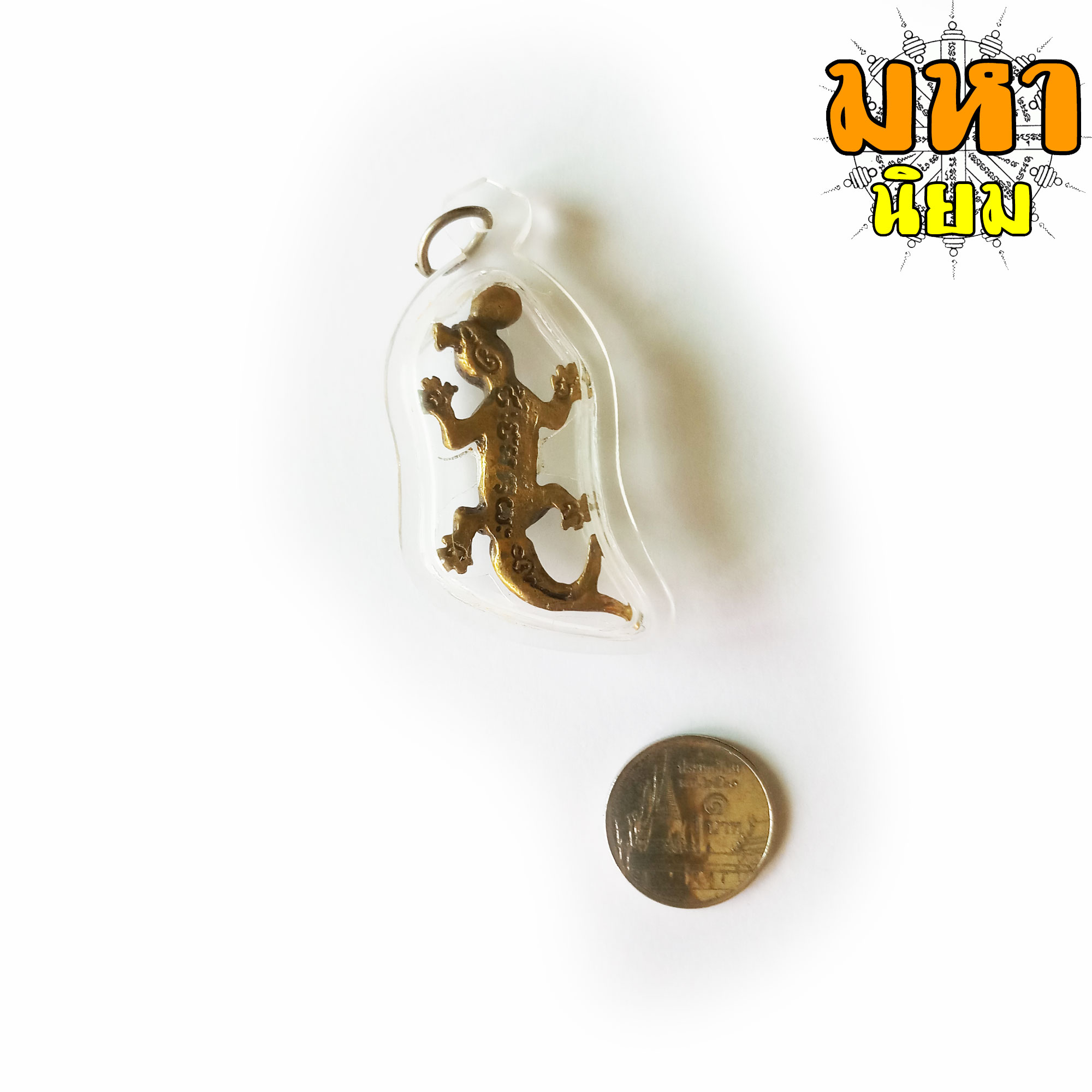 จิ้งจกนำโชค 2 หาง หลวงปู่หลิว วัดไร่แตงทอง จ.นครปฐม เลี่ยมกรอบอย่างดี