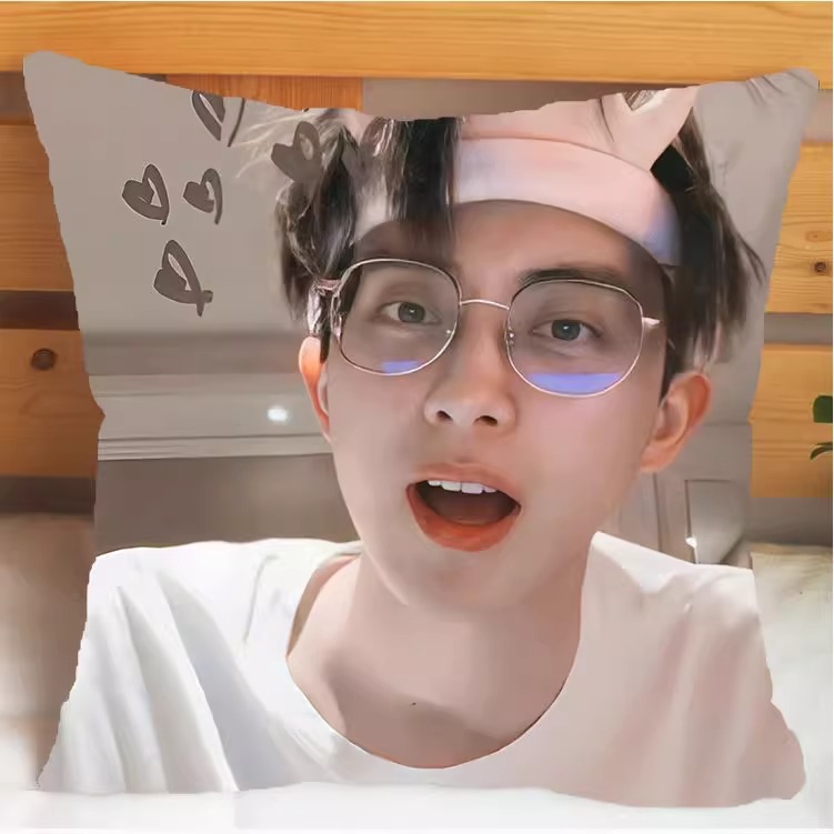 Pre - หมอนลาย อ๋าวรุ่ยเผิง AoRuipeng 40 cm.(ไม่ใช่สินค้าอฟช.)