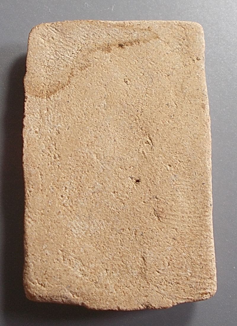 สมเด็จหลวงพ่อรวย วัดตะโก รุ่นแรก พิมพ์ปรกโพธิ์ประภามณฑล ปี 2498