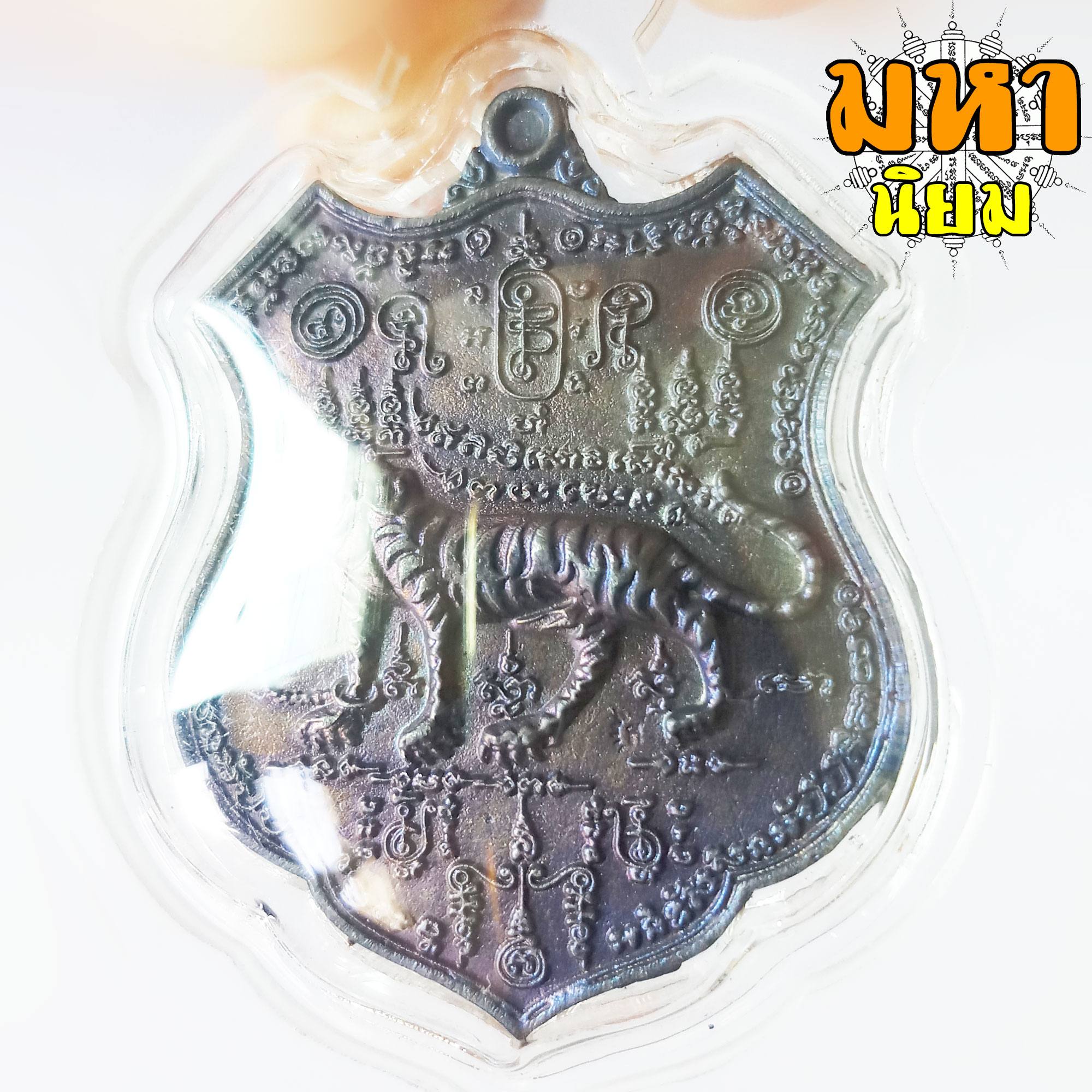 เหรียญเสือหัวขาดตัวหนึ่ง หลวงพ่อไฉน ฉนฺทสาโร จ.ขอนแก่น เนื้อนวะโลหะ เลี่ยมกรอบอย่างดี