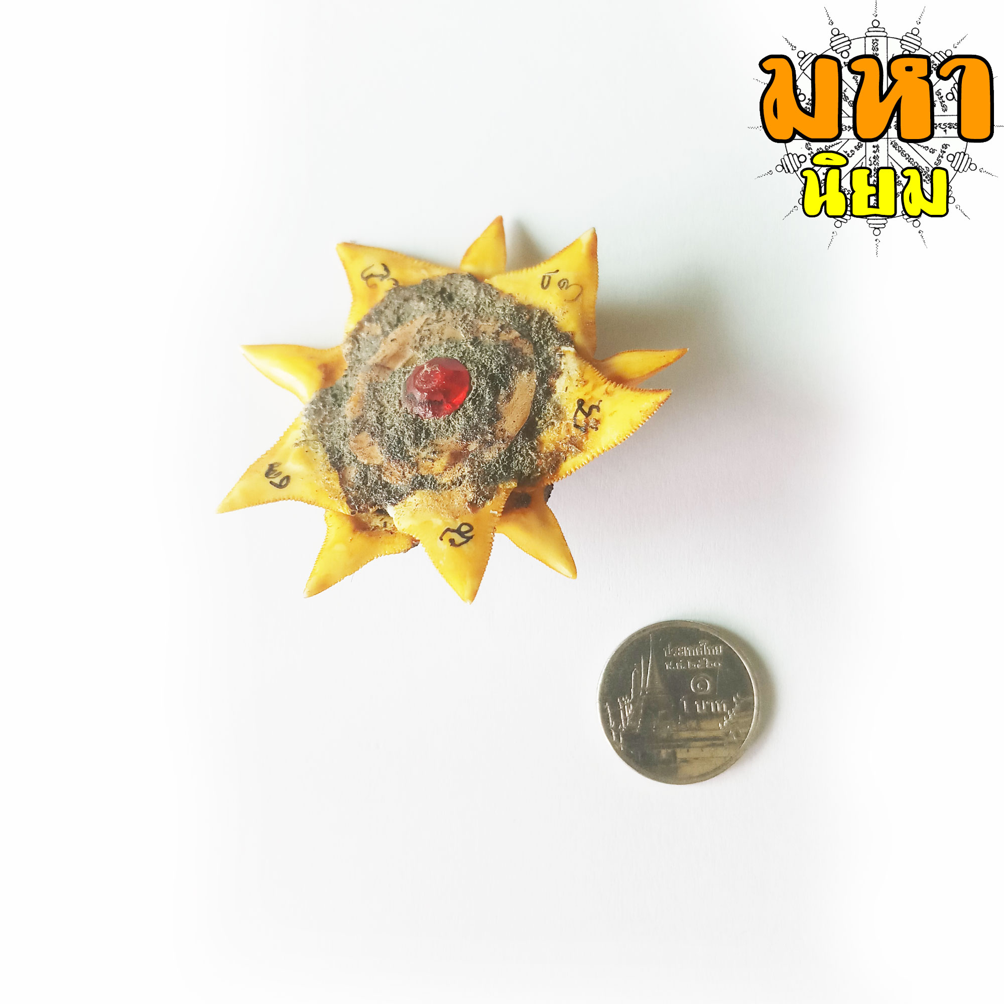 ดวงตาสวรรค์ ฐานฟันฉลาม 10 ซี่ หลวงพ่อผินะ ปิยธโร วัดสนมลาว จ.สระบุรี