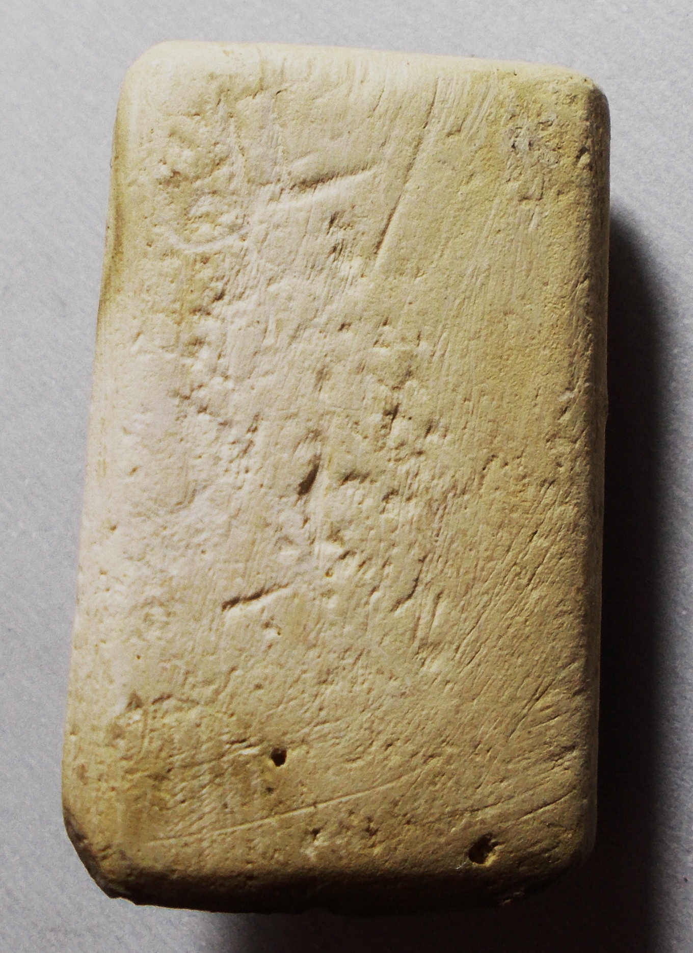 พระผงกระดูกผี อจ.หนู วัดโพธิ์ท่าเตียน #lnw623 (ขายแล้ว)