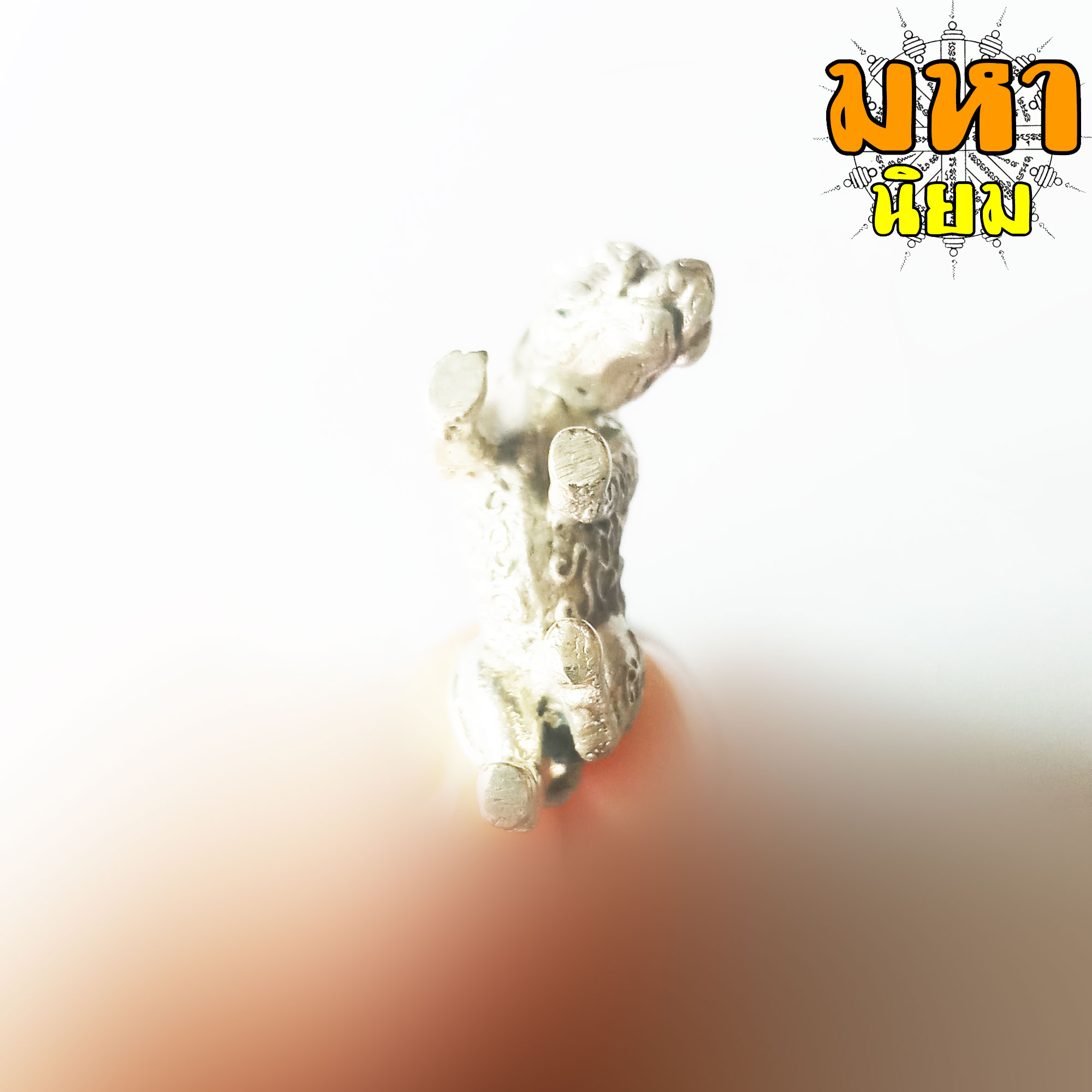 หมูป่ามหาเวทย์ หลวงปู่กาหลง เขี้ยวแก้ว วัดเขาแหลม จ.สระแก้ว