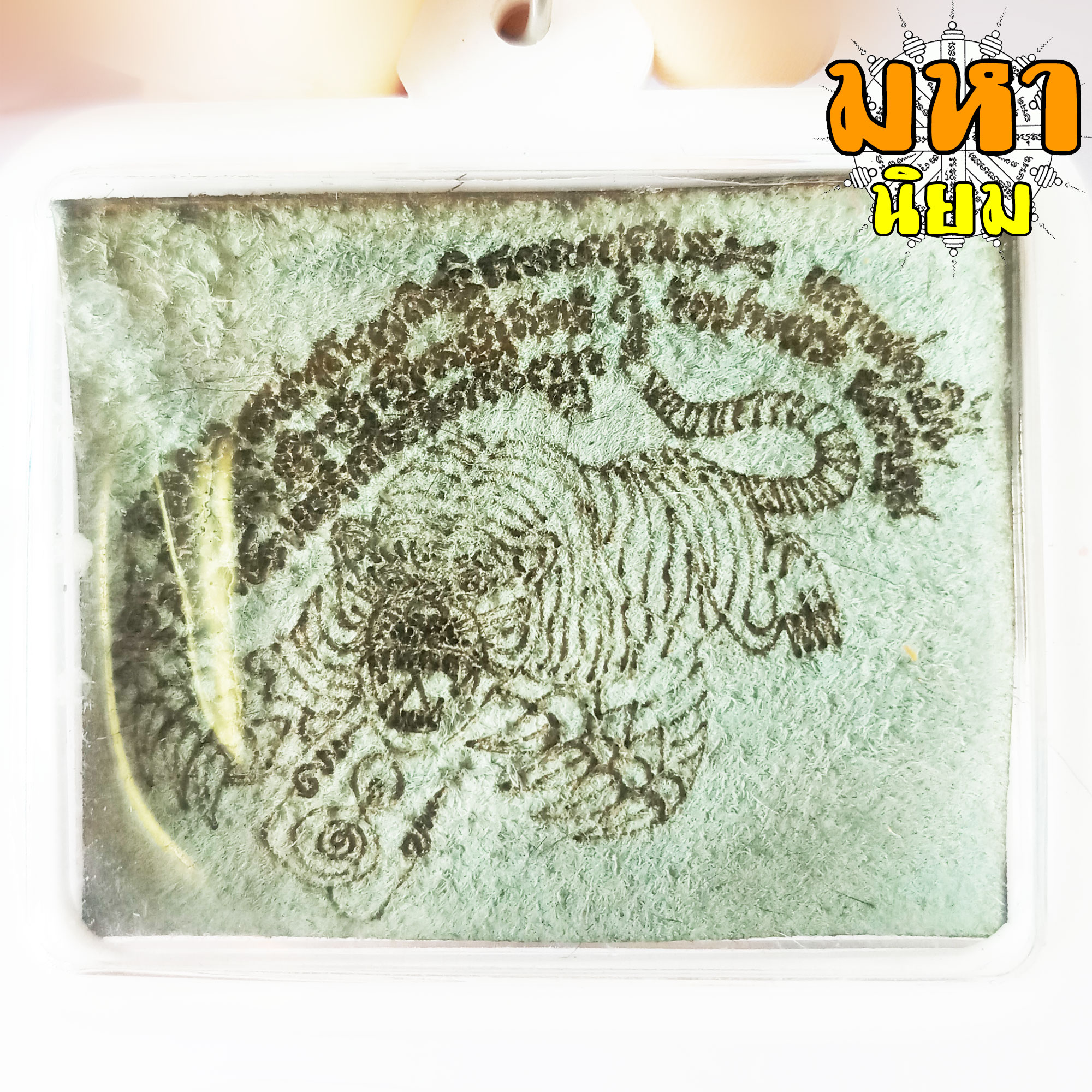 แผ่นหนังเสือ (เสือไฟ) ลงหมึกจารกำกับ ลายเสือเผ่น หลวงพ่อเปิ่น วัดบางพระ จ.นครปฐม เลี่ยมกรอบอย่างดี