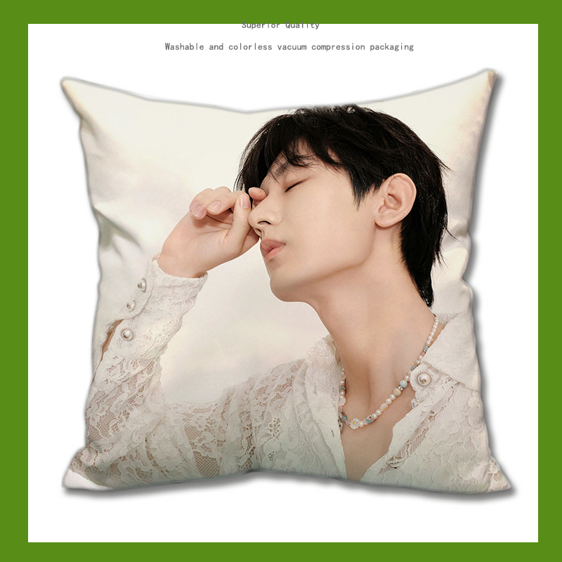 Pre - หมอนลายเฉิงอี้ ChengYi 40 cm หมอนดารา