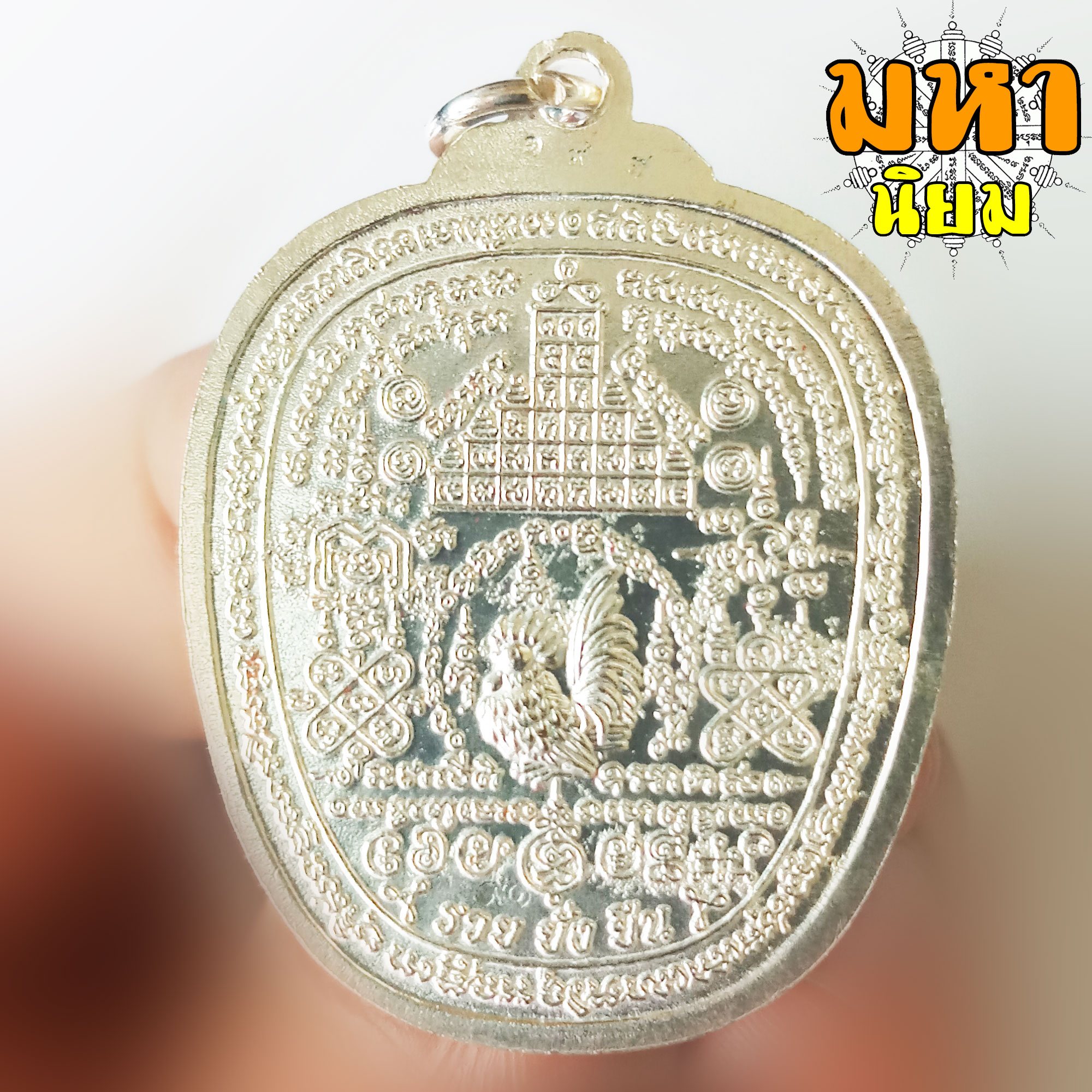 เหรียญแอปเปิ้ล รวย ยั่ง ยืน หลวงพ่อรวย ปาสาทิโก วัดตะโก จ.อยุธยา เนื้ออัลปากา ลงยาสี พร้อมกล่องอย่างดี