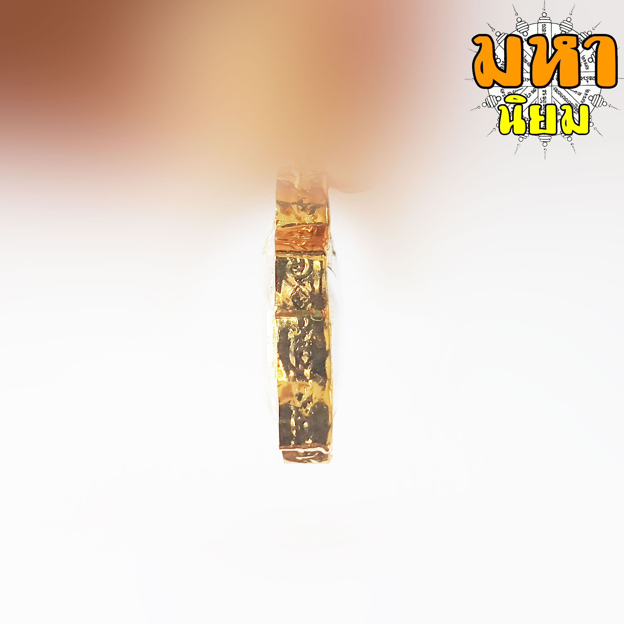 พญาเต่าเรือน ไตรมาส (องค์เล็ก) หลวงปู่หลิว ปณฺณโก วัดไร่แตงทอง เลี่ยมกรอบอย่างดี