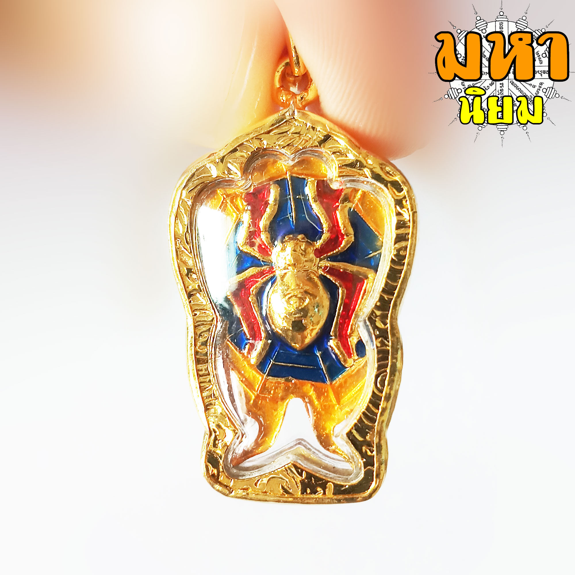 เทพจำแลง ภมร แมงมุม ดักทรัพย์ ครูบากฤษณะ สำนักสงฆ์ฬุวัน จ.นครราชสีมา