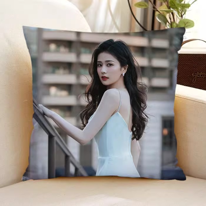 Pre - หมอนลาย BaiLu ไป๋ลู่ 40 cm - ระบุลาย