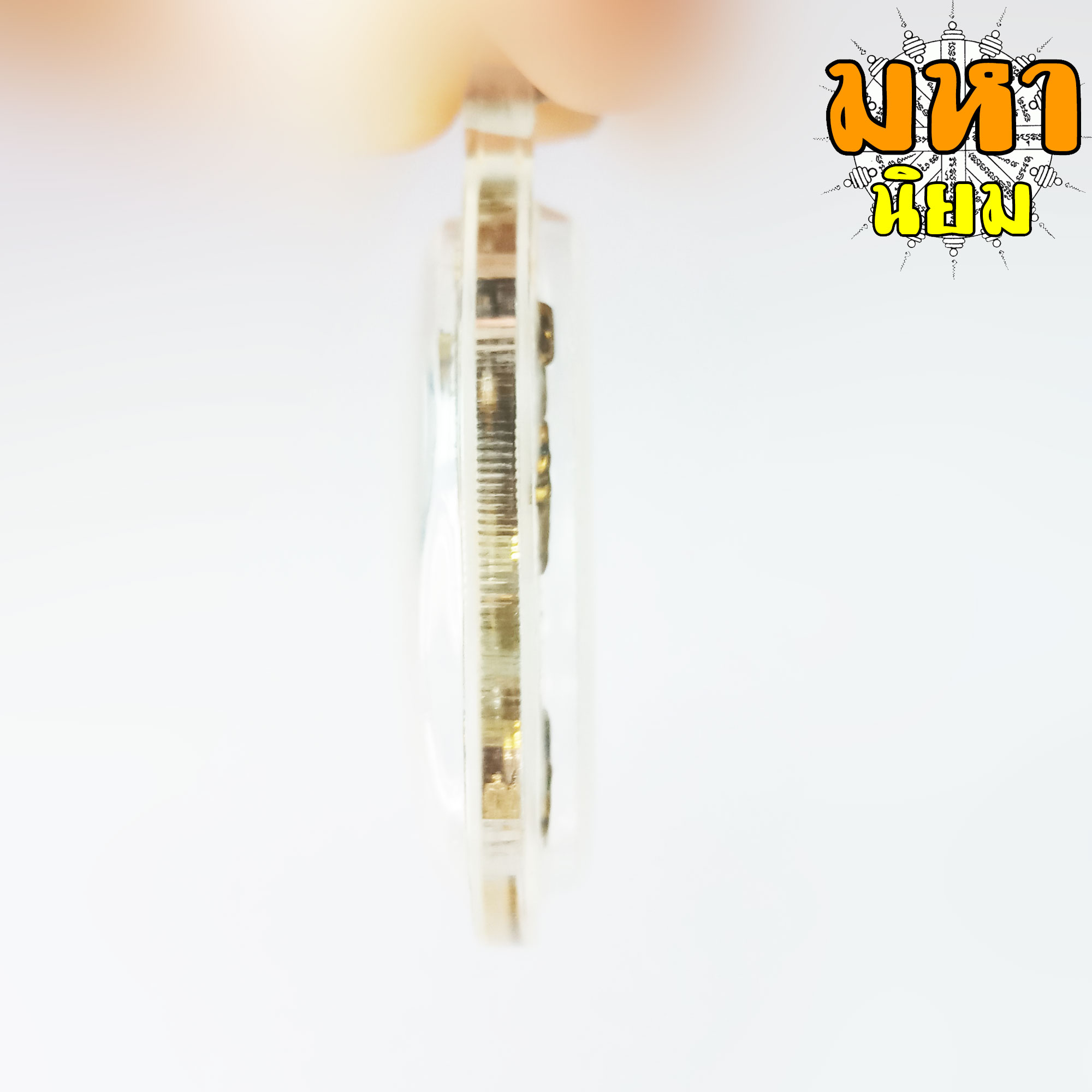 จิ้งจกนำโชค 2 หาง หลวงปู่หลิว วัดไร่แตงทอง จ.นครปฐม เลี่ยมกรอบอย่างดี