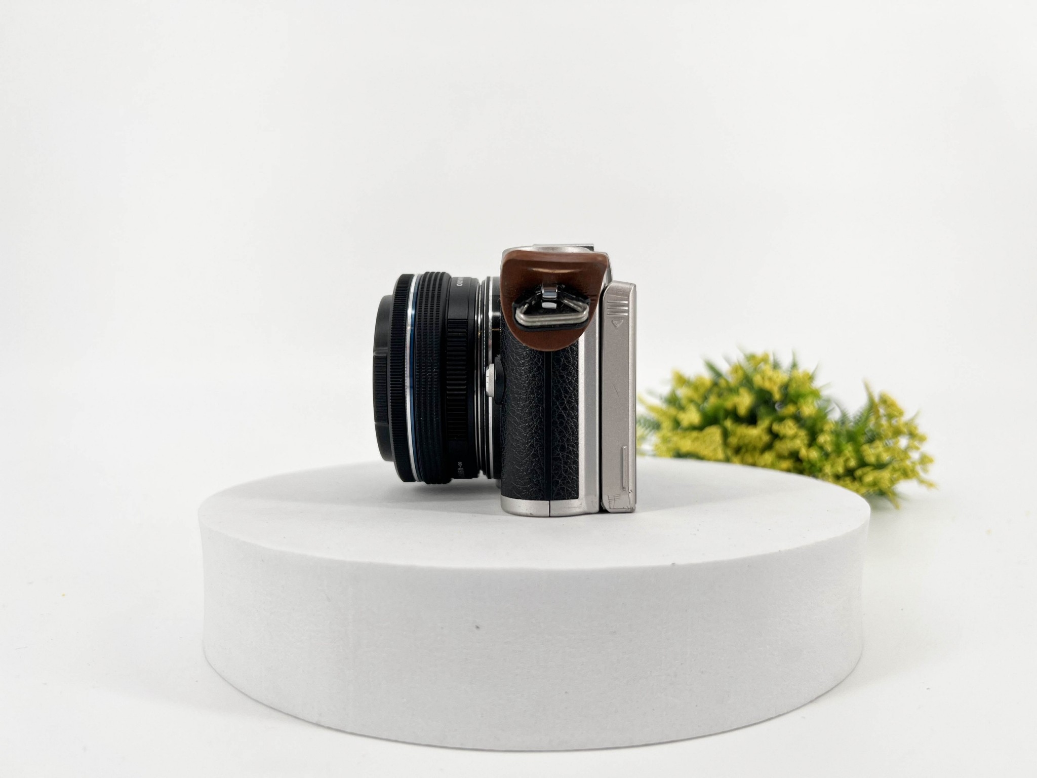 Olympus PEN E-PL8 + Lens 14-42 mm.