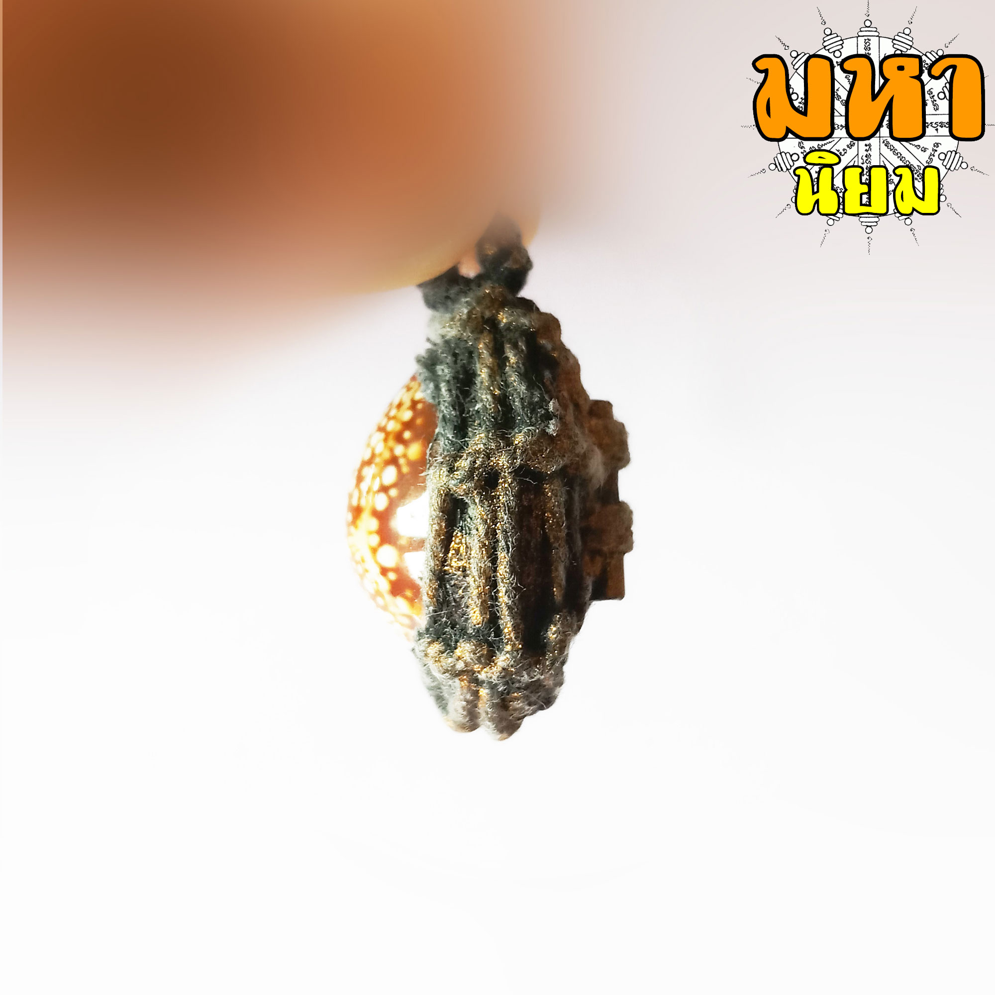 เบี้ยแก้ถักเชือก ตะกรุดหลัง (เขย่าแล้วมีเสียงตะกรุดข้างใน) หลวงปู่บุญ วัดกลางบางแก้ว จ.นครปฐม