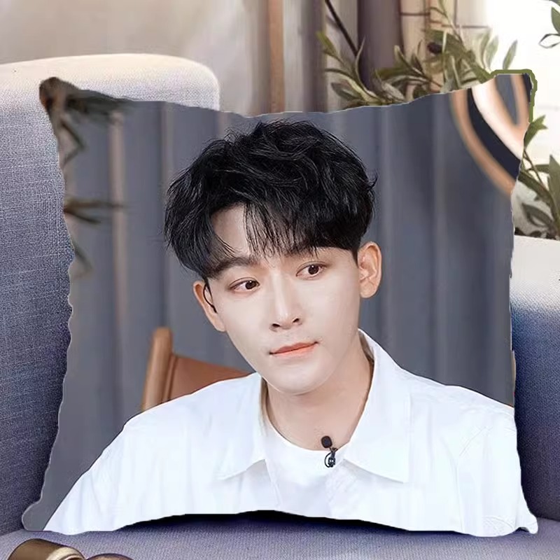 Pre - หมอนลาย จางหว่านอี้ ZhangWanYi (ไม่ใช่สินค้าอฟช.)40 ซม.