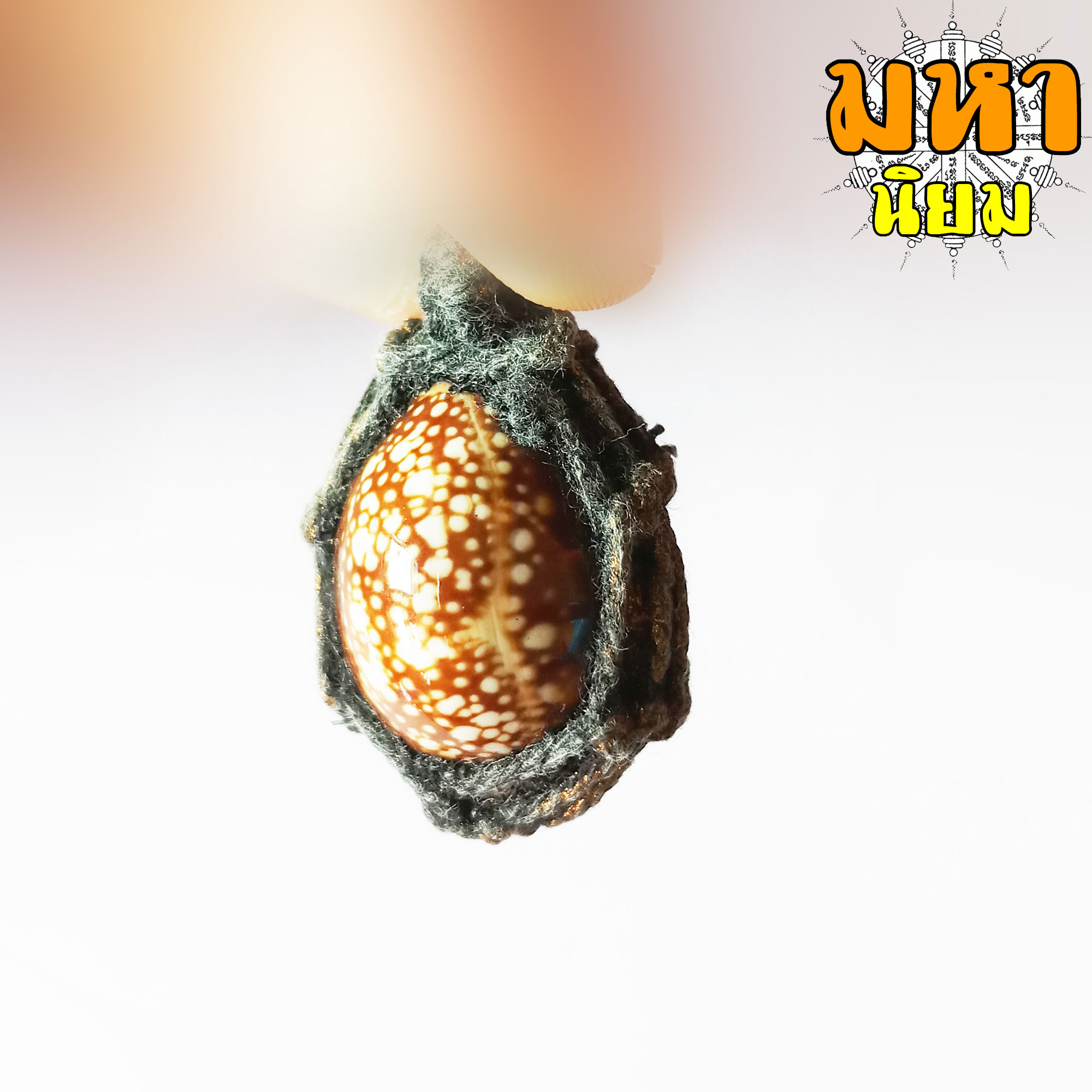 เบี้ยแก้ถักเชือก ตะกรุดหลัง (เขย่าแล้วมีเสียงตะกรุดข้างใน) หลวงปู่บุญ วัดกลางบางแก้ว จ.นครปฐม