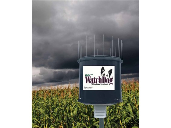WatchDog Wireless Rain+ Temp Station