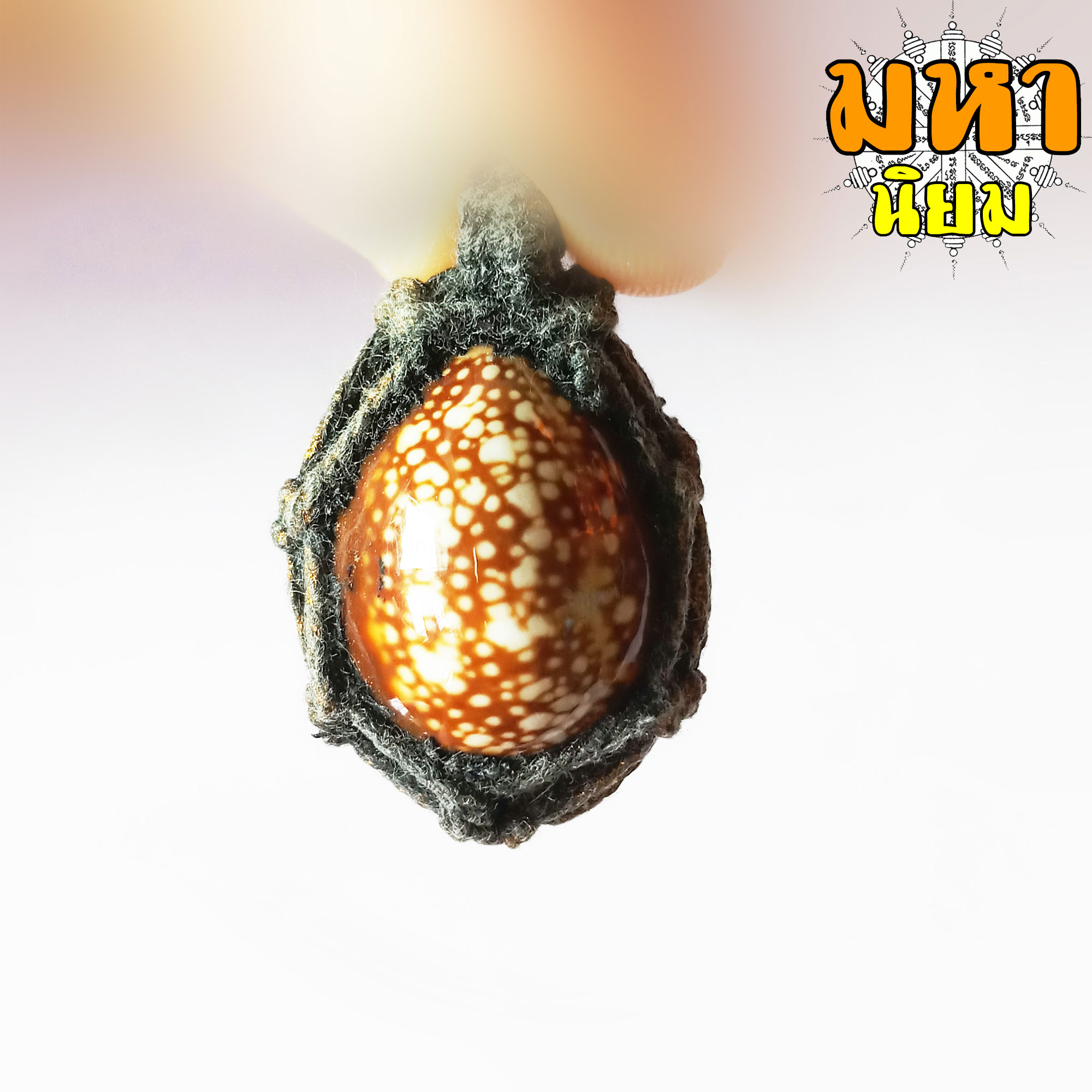 เบี้ยแก้ถักเชือก ตะกรุดหลัง (เขย่าแล้วมีเสียงตะกรุดข้างใน) หลวงปู่บุญ วัดกลางบางแก้ว จ.นครปฐม