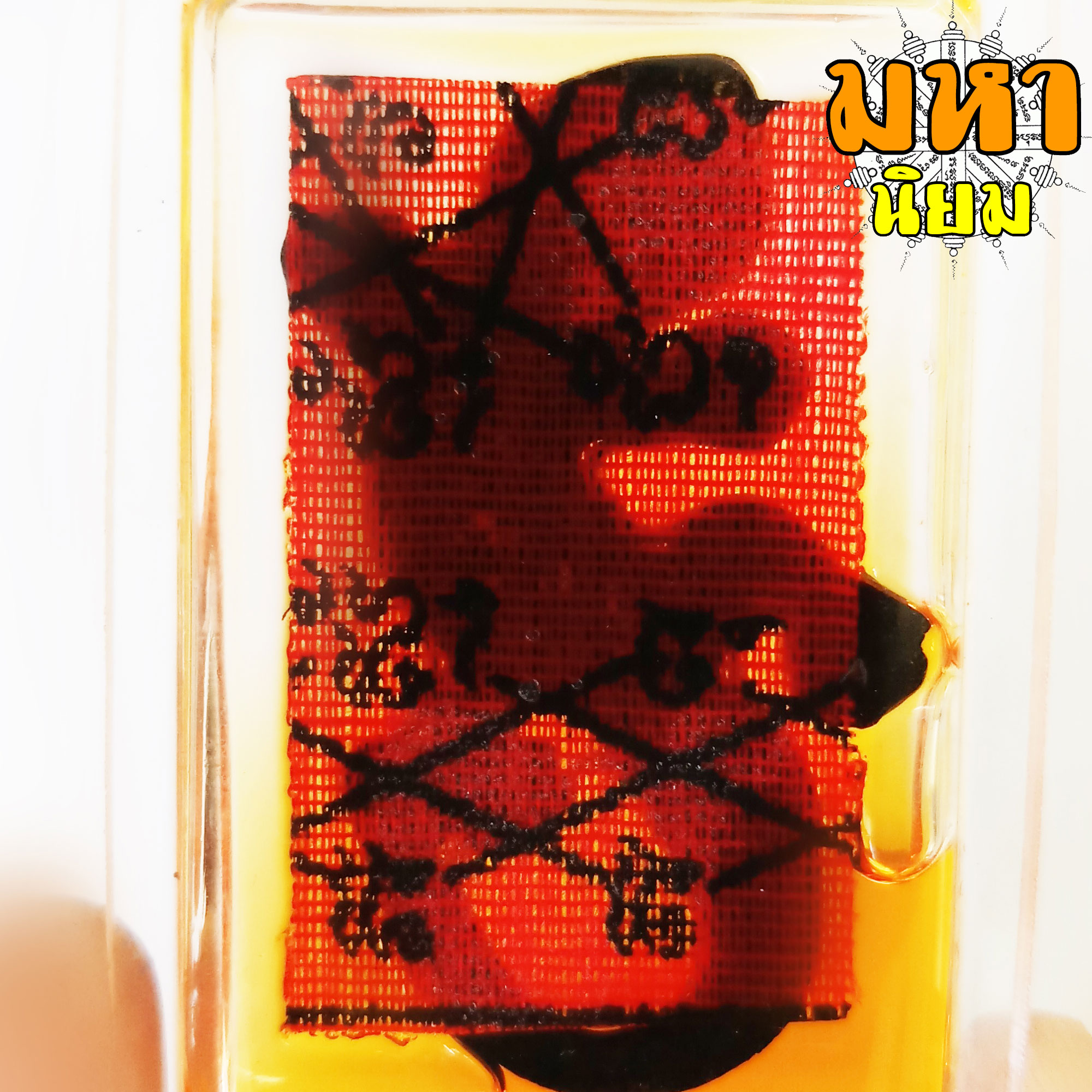 จิ้งจก น้ำมันจันทร์ หลังยันต์แดง เลี่ยมกรอบพลาสติกอย่างดี