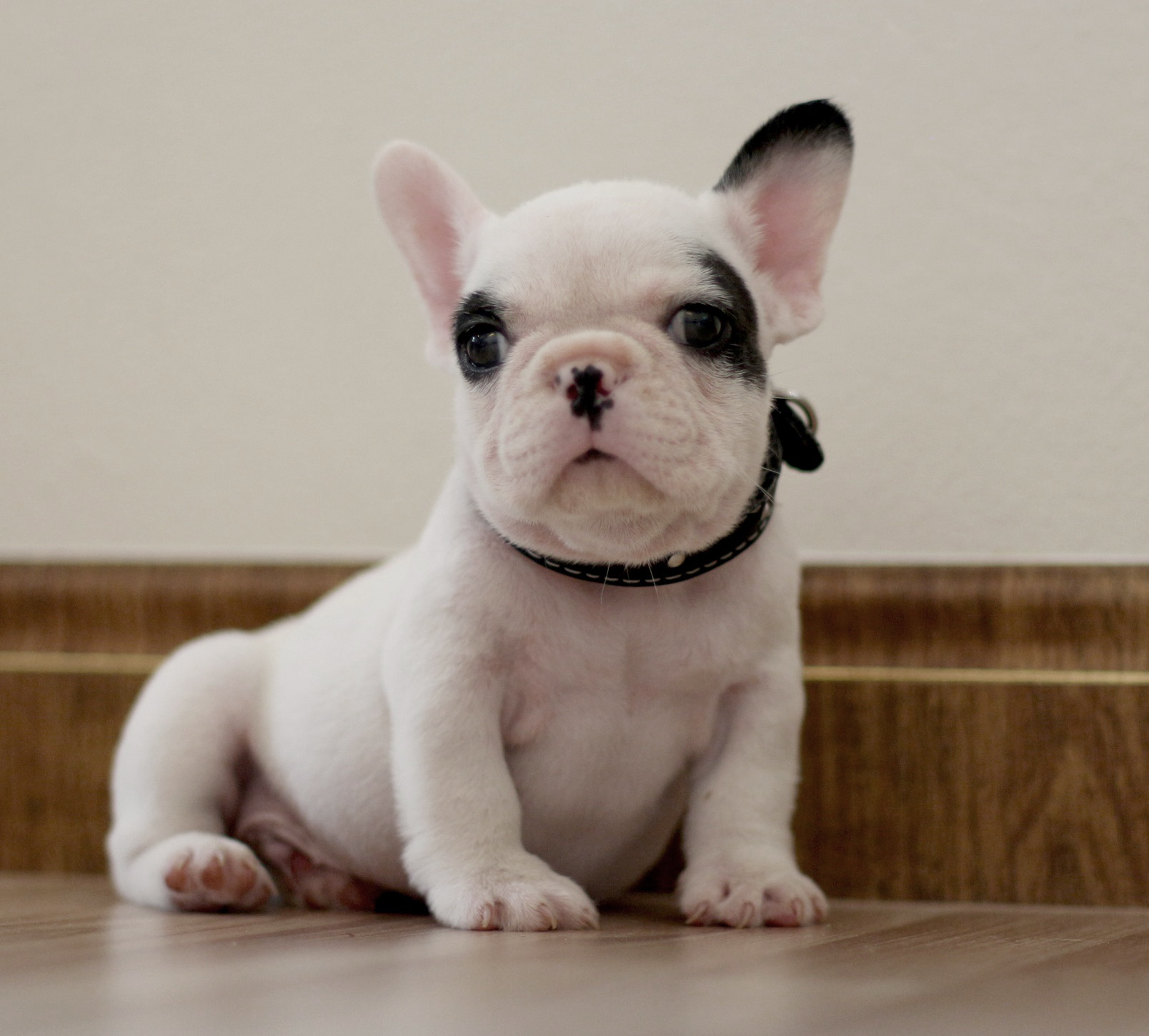 เด็กชายโลกิ สีขาวดำหน้าตาอ้อนๆ