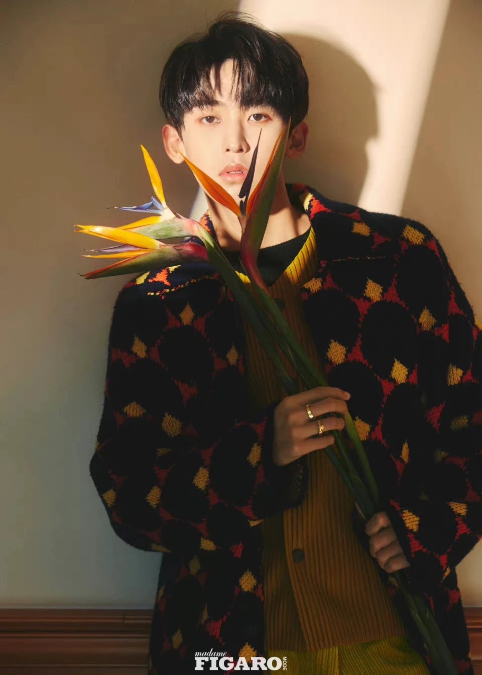 Pre - นิตยสาร MadameFigaroMode ถังจิ่วโจว TangJiuzhou 2022 + การ์ด(สุ่ม)5