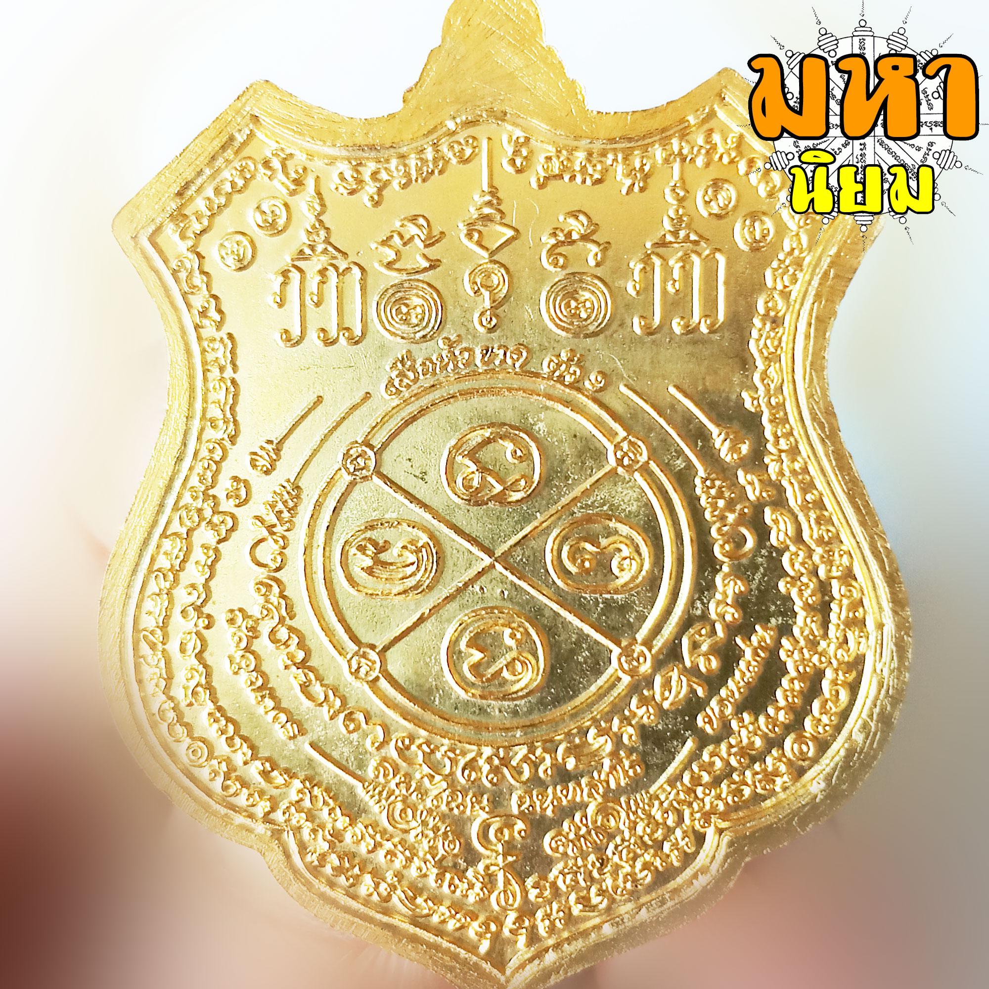 เหรียญเสือหัวขาดตัวหนึ่ง หลวงพ่อไฉน ฉนฺทสาโร จ.ขอนแก่น เนื้อลงยาสี พร้อมกล่องอย่างดี