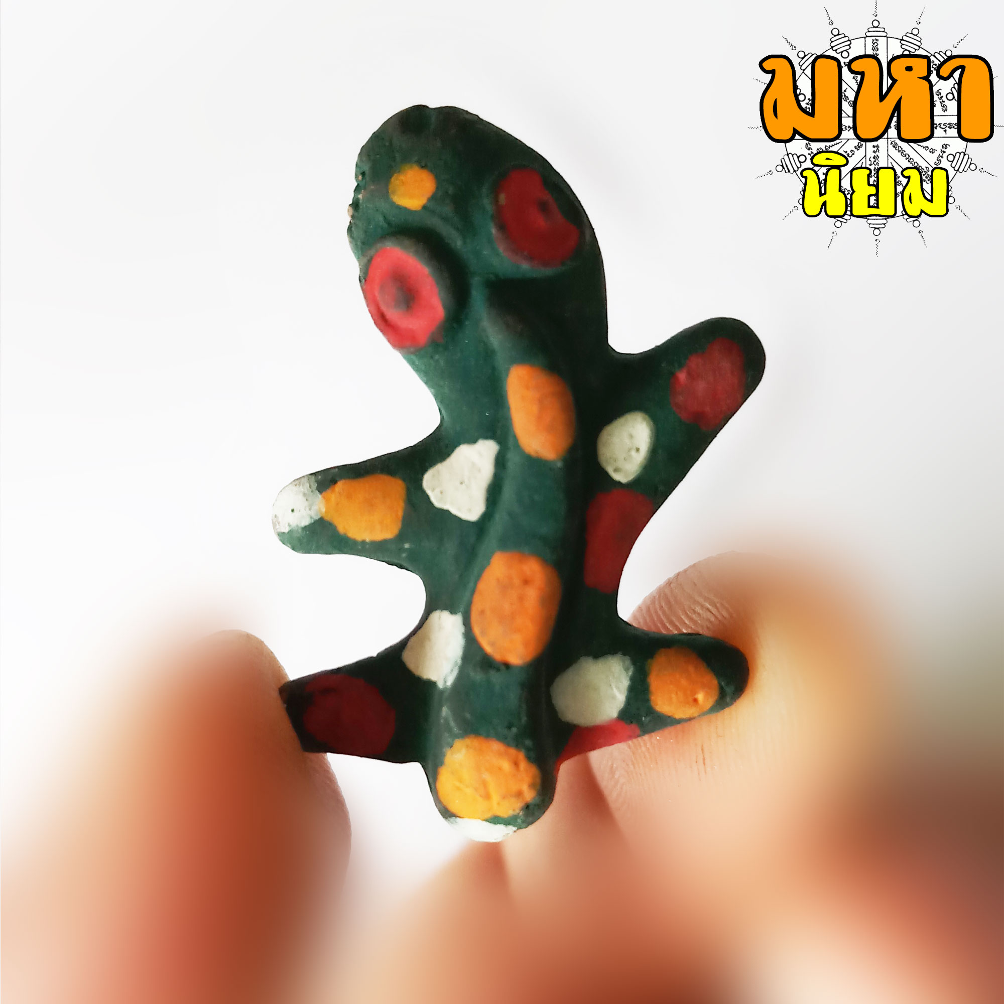 ตุ๊กแก หลวงพ่อครื้น วัดสังโฆสิตาราม จ.สุพรรณบุรี