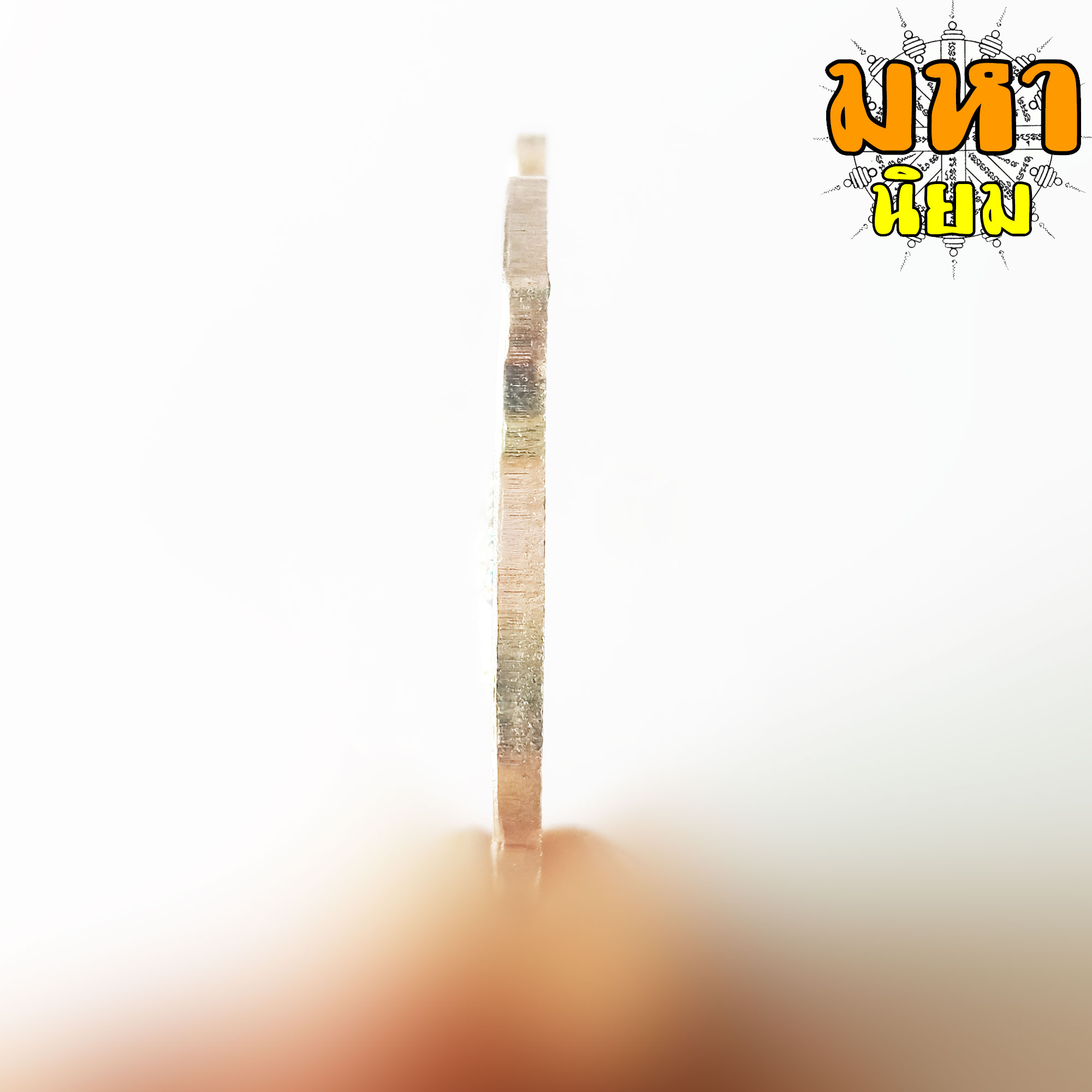 เหรียญเสือหัวขาดตัวหนึ่ง หลวงพ่อไฉน ฉนฺทสาโร จ.ขอนแก่น เนื้อลงยาสี พร้อมกล่องอย่างดี