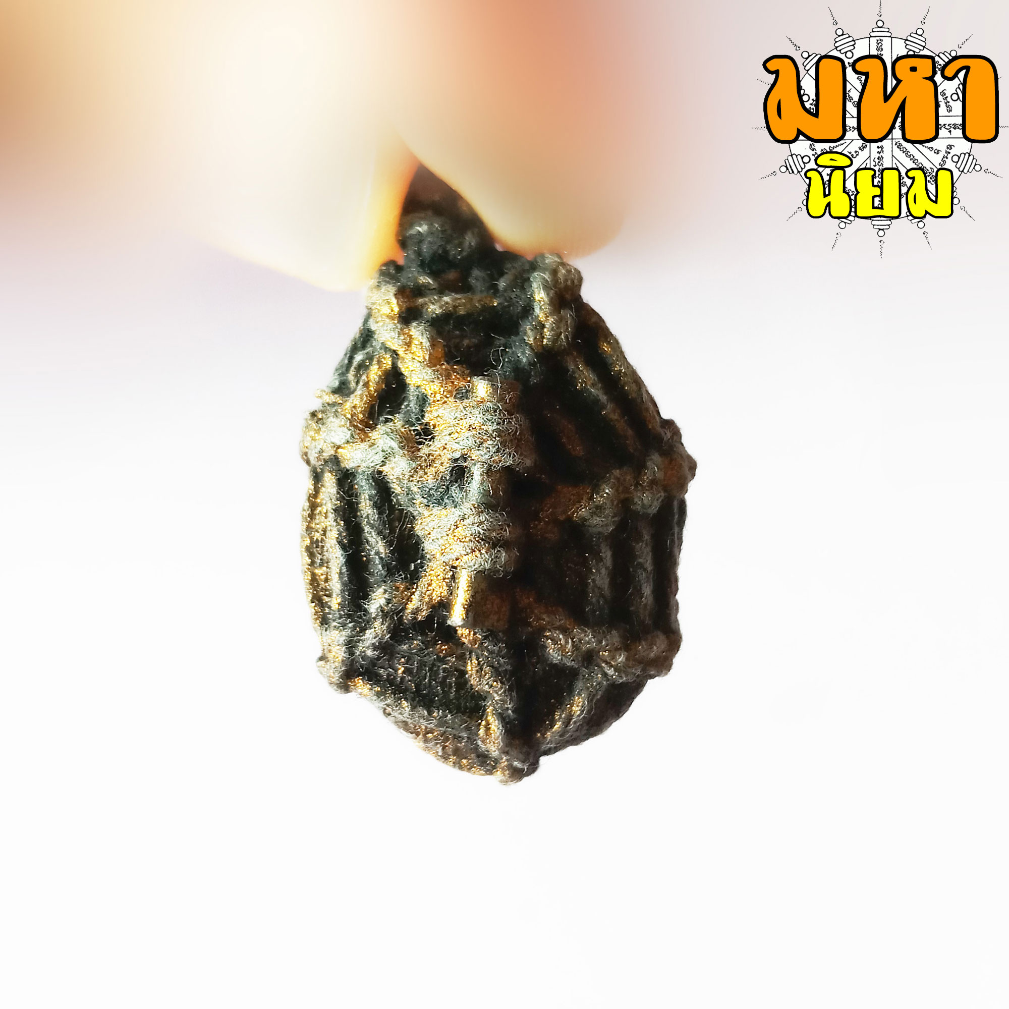 เบี้ยแก้ถักเชือก ตะกรุดหลัง (เขย่าแล้วมีเสียงตะกรุดข้างใน) หลวงปู่บุญ วัดกลางบางแก้ว จ.นครปฐม