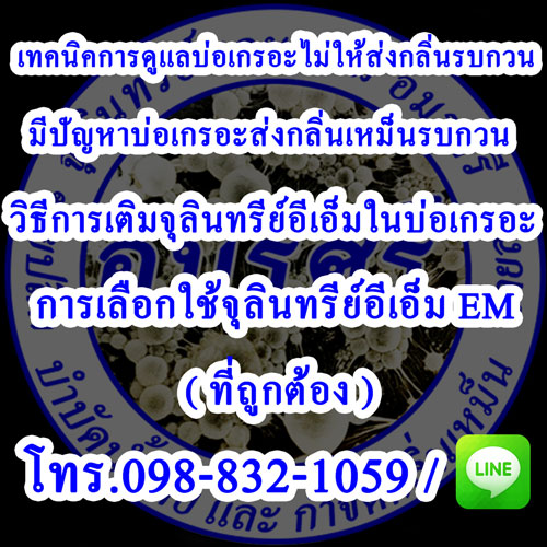 เทคนิคการดูแลบ่อเกรอะและวิธีการดูแลบ่อเกรอะไม่ให้ส่งกลิ่นรบกวน แก้ไขมีปัญหาบ่อเกรอะส่งกลิ่นรบกวน เฝอวิธีการเติมจุลินทรีย์อีเอ็มในบ่อเกรอะ รวมถึงการเลือกใช้จุลินทรีย์อีเอ็ม EM ที่ถูกต้อง