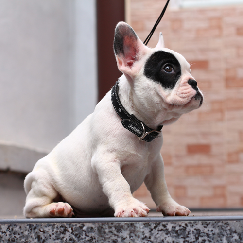 เด็กชายมาร์คกิ้งโจรสลัดเท่ห์ๆ อายุ2เดือน