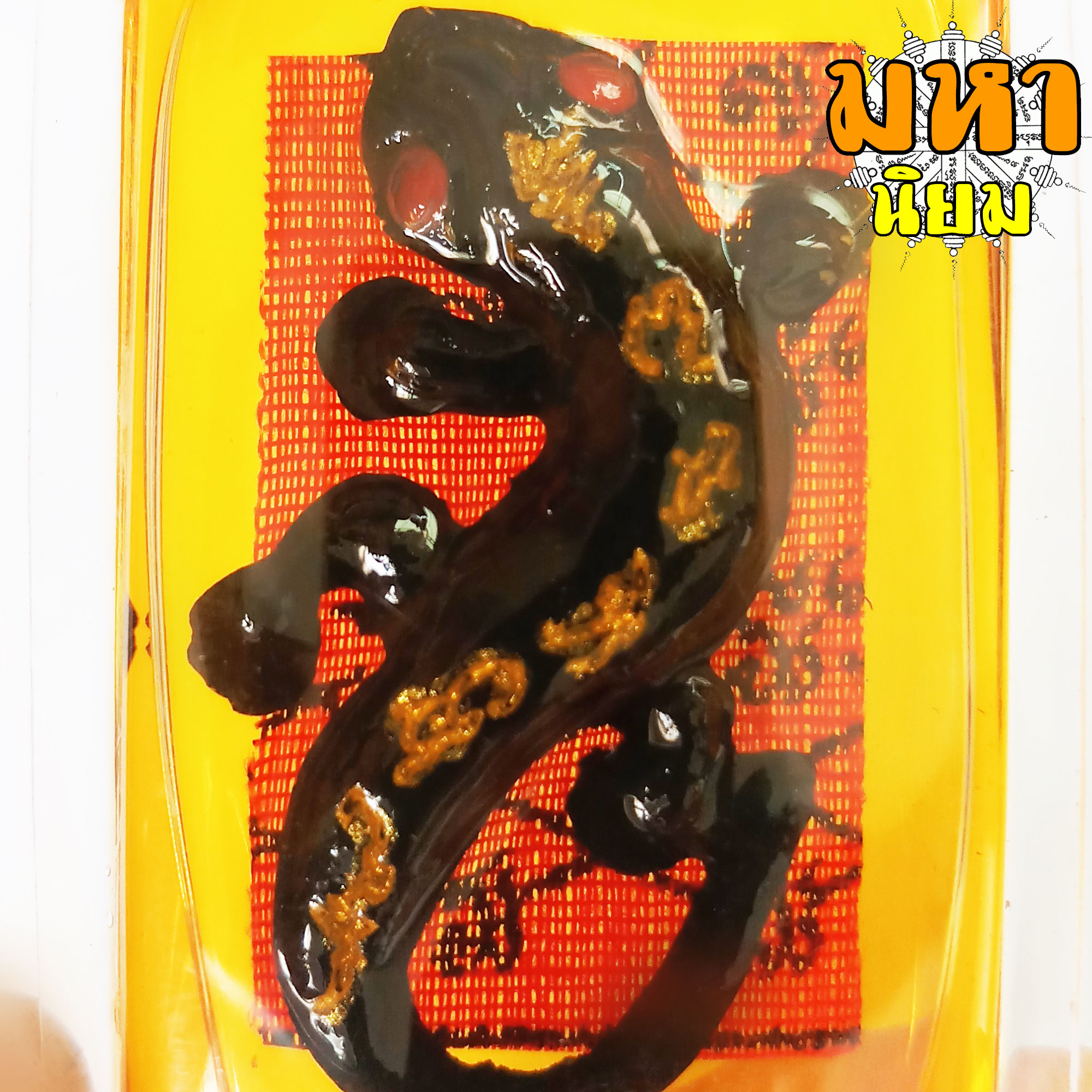 จิ้งจก น้ำมันจันทร์ หลังยันต์แดง เลี่ยมกรอบพลาสติกอย่างดี