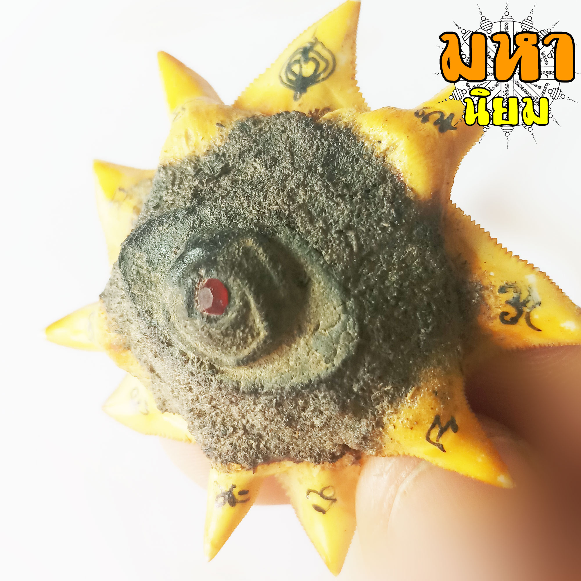 ดวงตาสวรรค์ ฐานฟันฉลาม 10 ซี่ หลวงพ่อผินะ ปิยธโร วัดสนมลาว จ.สระบุรี