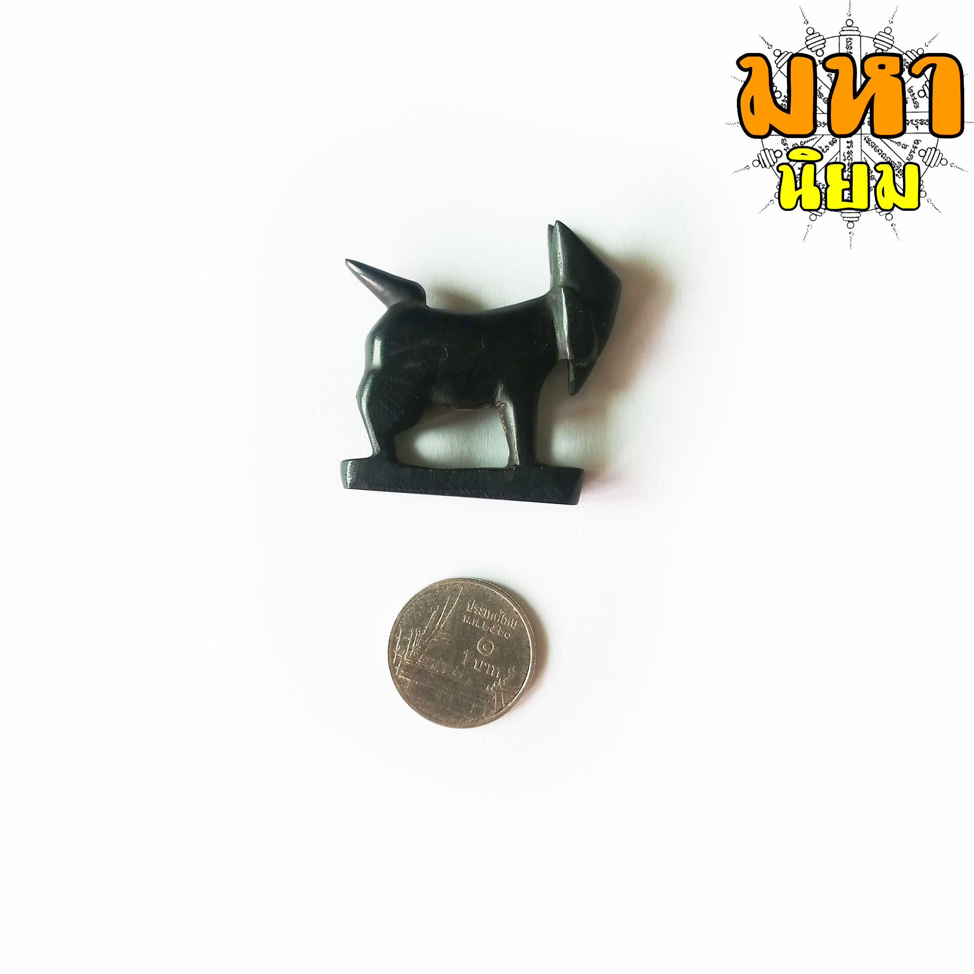 แพะหลวงพ่ออ่ำ วัดหนองกระบอก จ.ระยอง