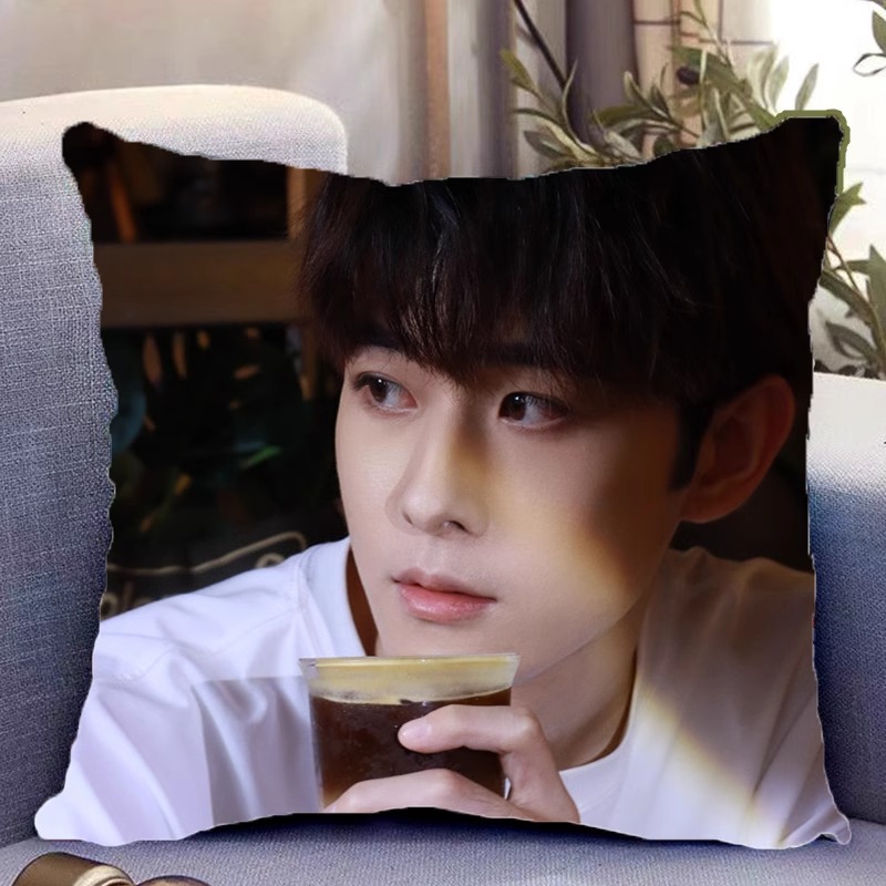 Pre - หมอนลายเถียนเจียรุ่ย 田嘉瑞 TianJiarui 40 cm