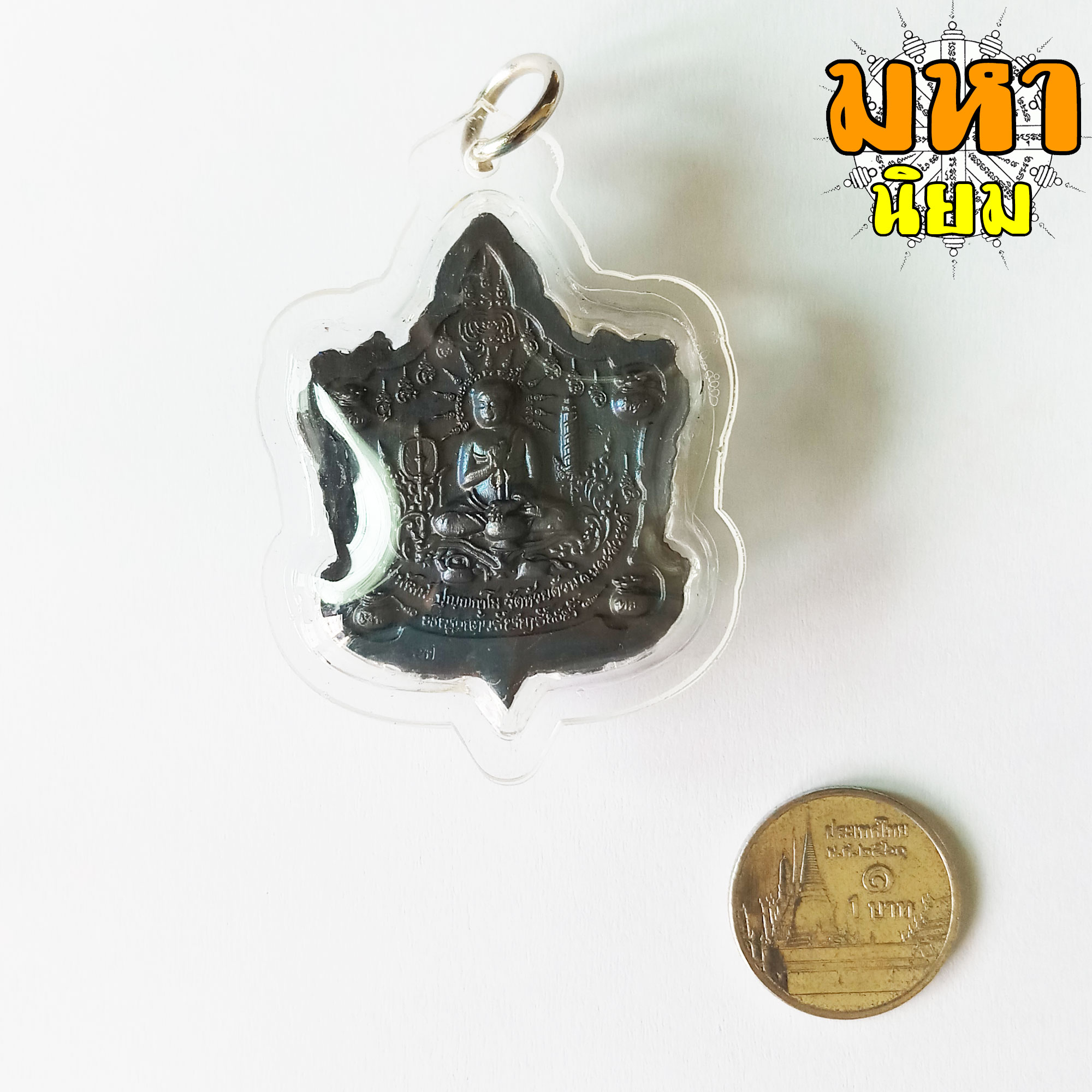 เหรียญพญาเต่ารับทรัพย์ หลวงพ่อพัฒน์ ปุญฺญกาโม วัดห้วยด้วน จ.นครสวรรค์ เนื้อนวะโลหะรมดำ เลี่ยมกรอบอย่างดี