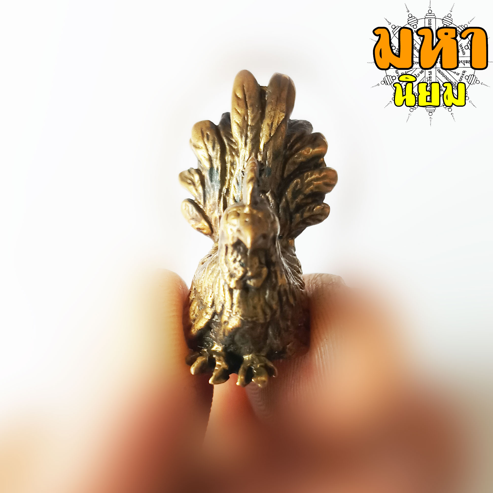 ไก่นำโชค เนื้อทองเหลือง