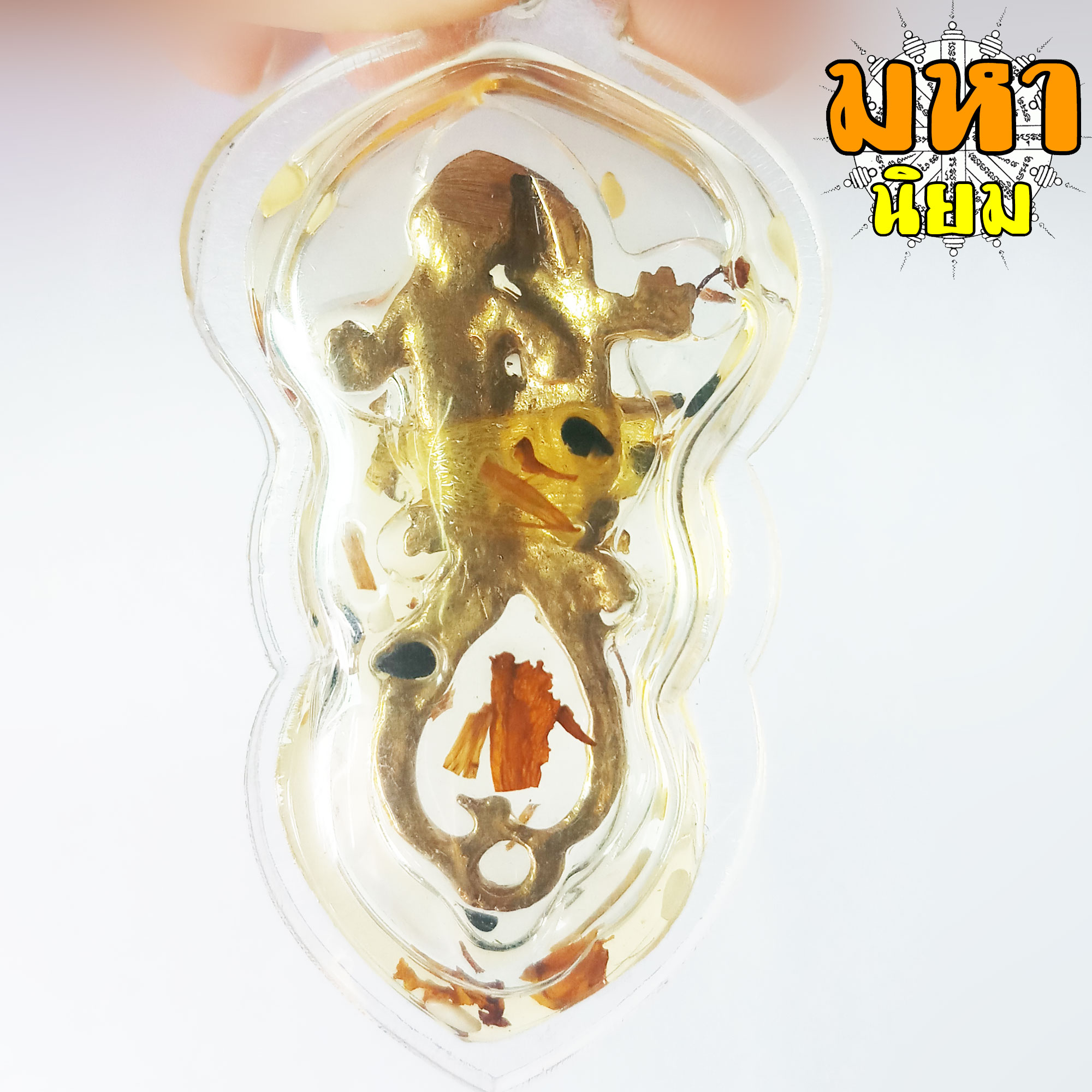 จิ้งจก แช่น้ำมัน หลวงพ่อเผือด วัดมะกอก กรุงเทพ เลี่ยมกรอบอย่างดี