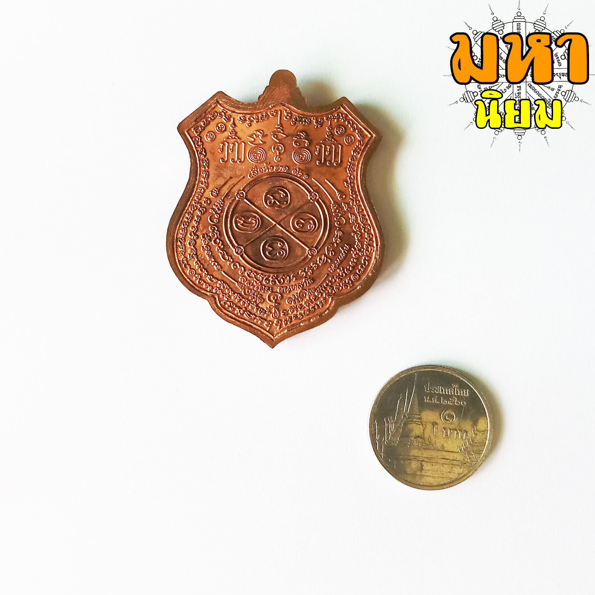 เหรียญเสือหัวขาดตัวหนึ่ง หลวงพ่อไฉน ฉนฺทสาโร จ.ขอนแก่น พร้อมกล่องอย่างดี