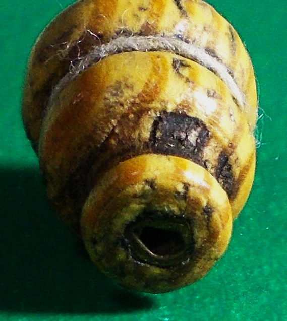 น้ำเต้าไม้มะยมตายพราย หลวงปู่บุญ วัดกลางบางแก้ว ฝังตะกรุดทอง #lnw438