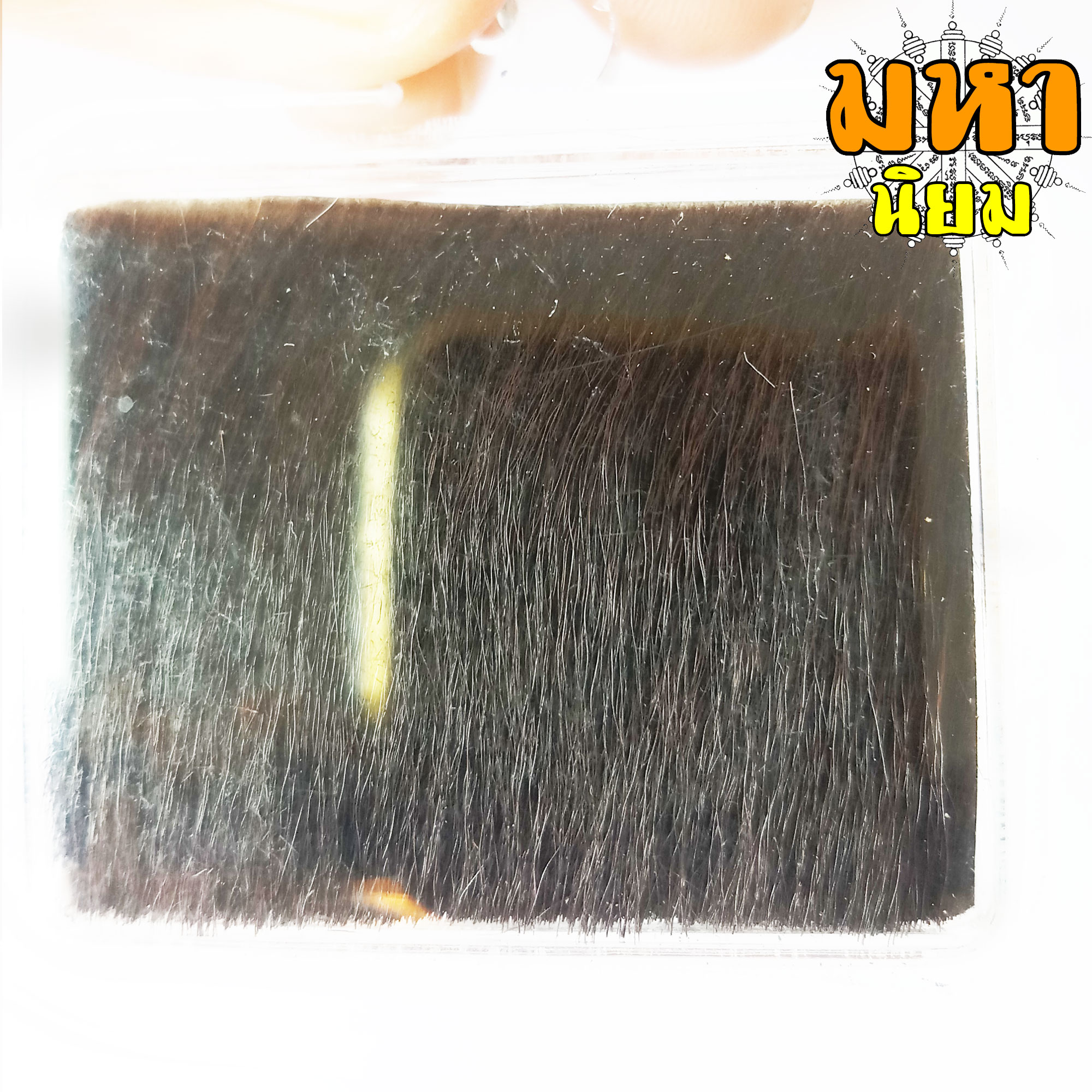 แผ่นหนังเสือ (เสือไฟ) ลงหมึกจารกำกับ ฤาษีเดินดง หลวงพ่อเปิ่น วัดบางพระ จ.นครปฐม เลี่ยมกรอบอย่างดี