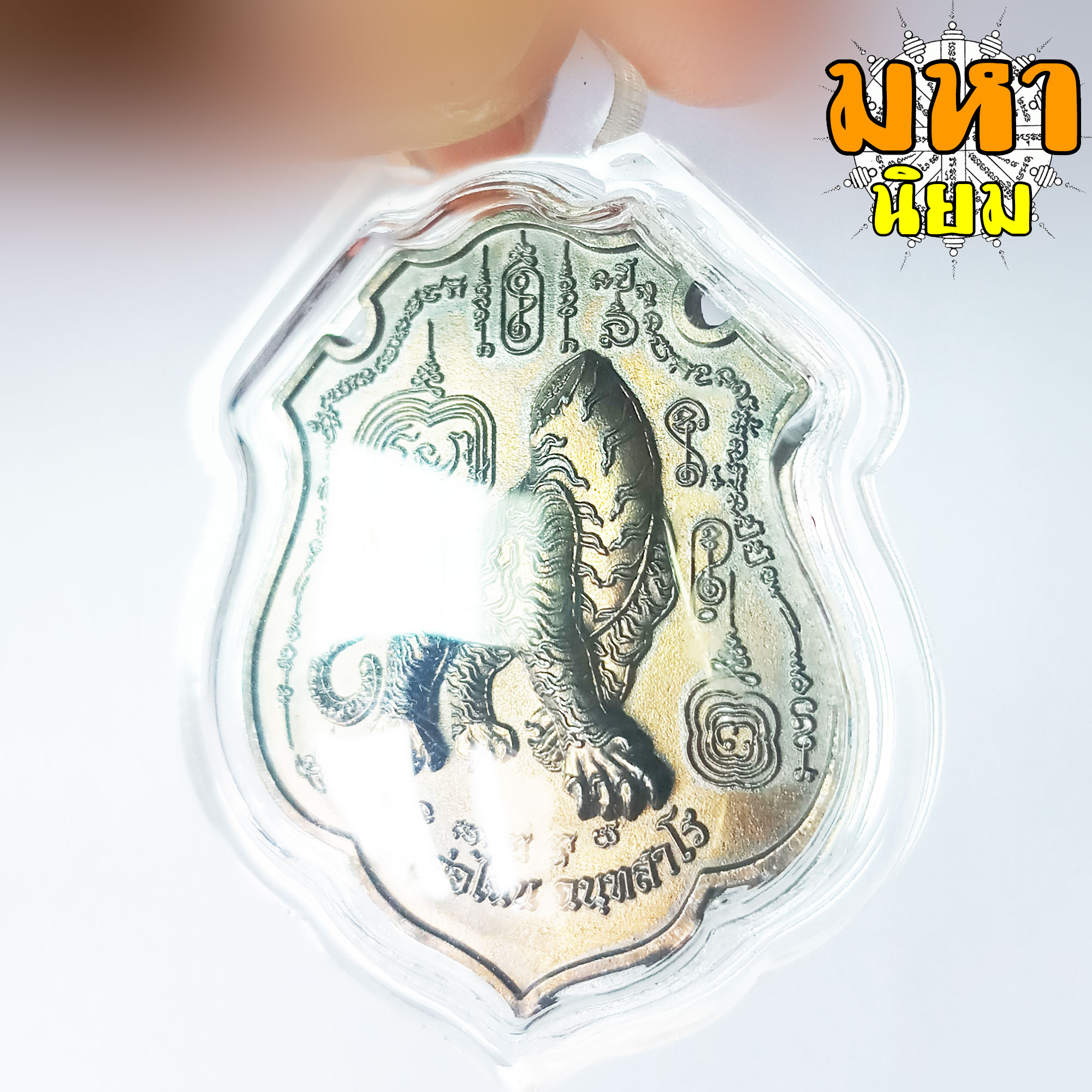 เหรียญเสือหัวขาด 5 พยัคฆ์สยบไพรรี หลวงพ่อไฉน ฉนฺทสาโร วัดสังฆปรีดี จ.ขอนแก่น เนื้อนวะโลหะ เลี่ยมกรอบอย่างดี