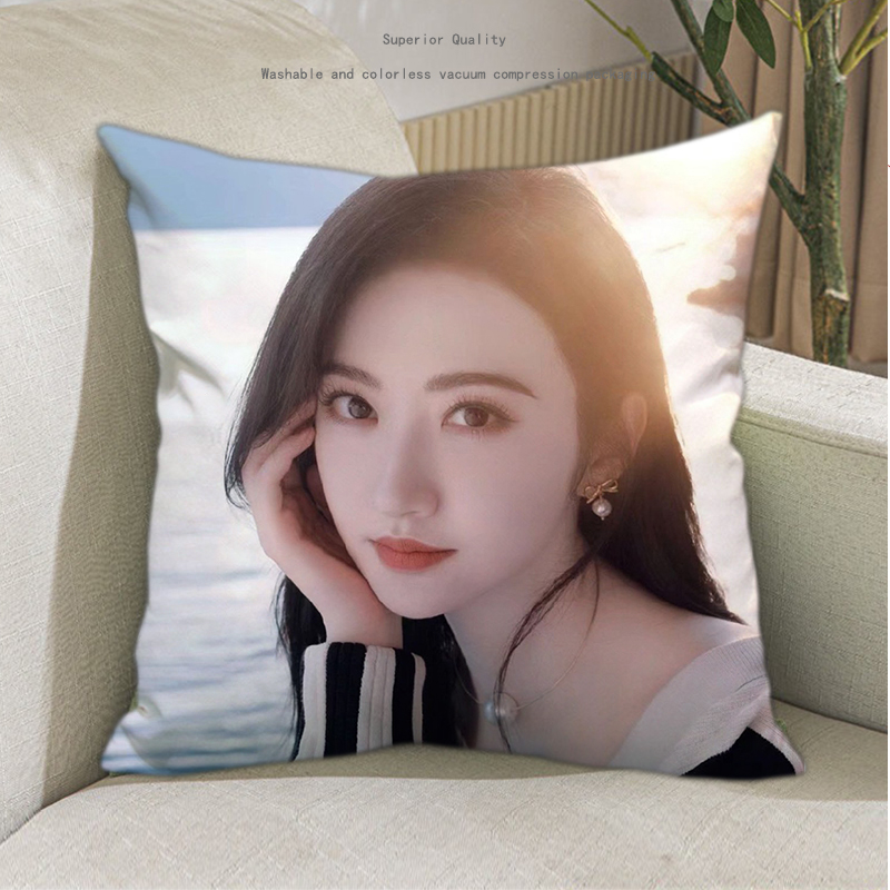 Pre - หมอนลายจิ่งเถียน JingTian 40 cm หมอนดารา (ไม่ใช่สินค้าอฟช.)