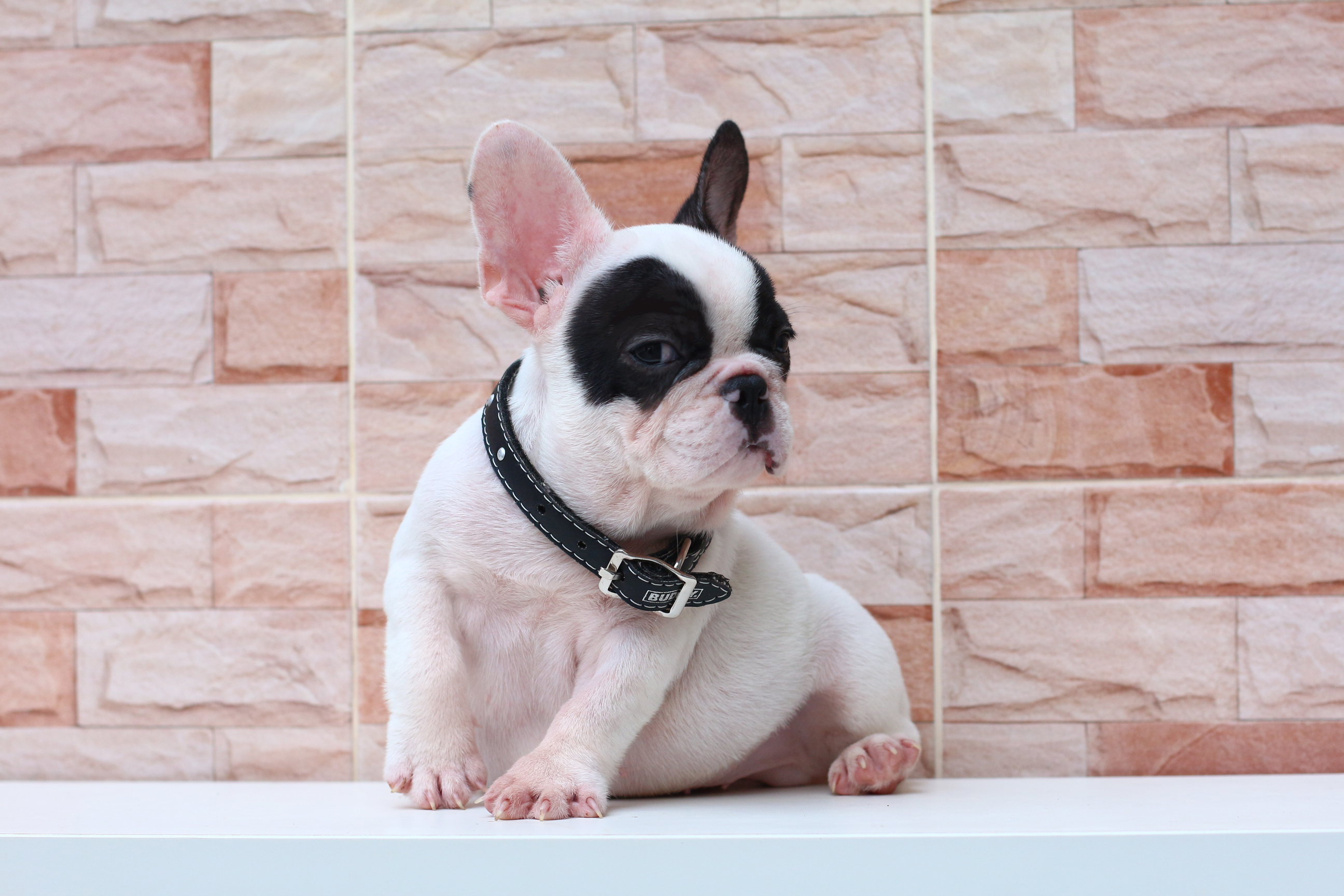 เด็กชายจั่นเจา หน้าตาน่ารัก ตัวเล็กๆขาสั้น ขี้อ้อนมากๆ