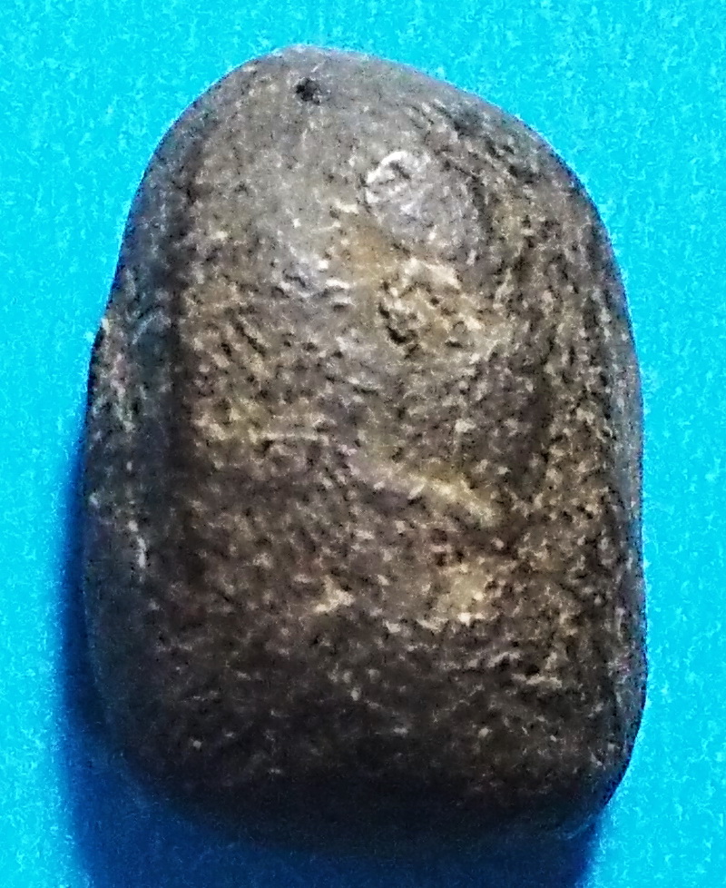 พระคง ลพ.พริ้ง วัดบางปะกอก #lnw1032