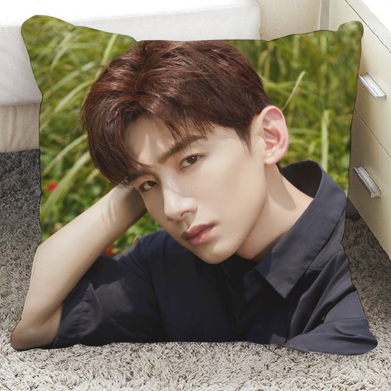 Pre - หมอนลายไป๋จิงถิง BaiJingting 40 ซม.