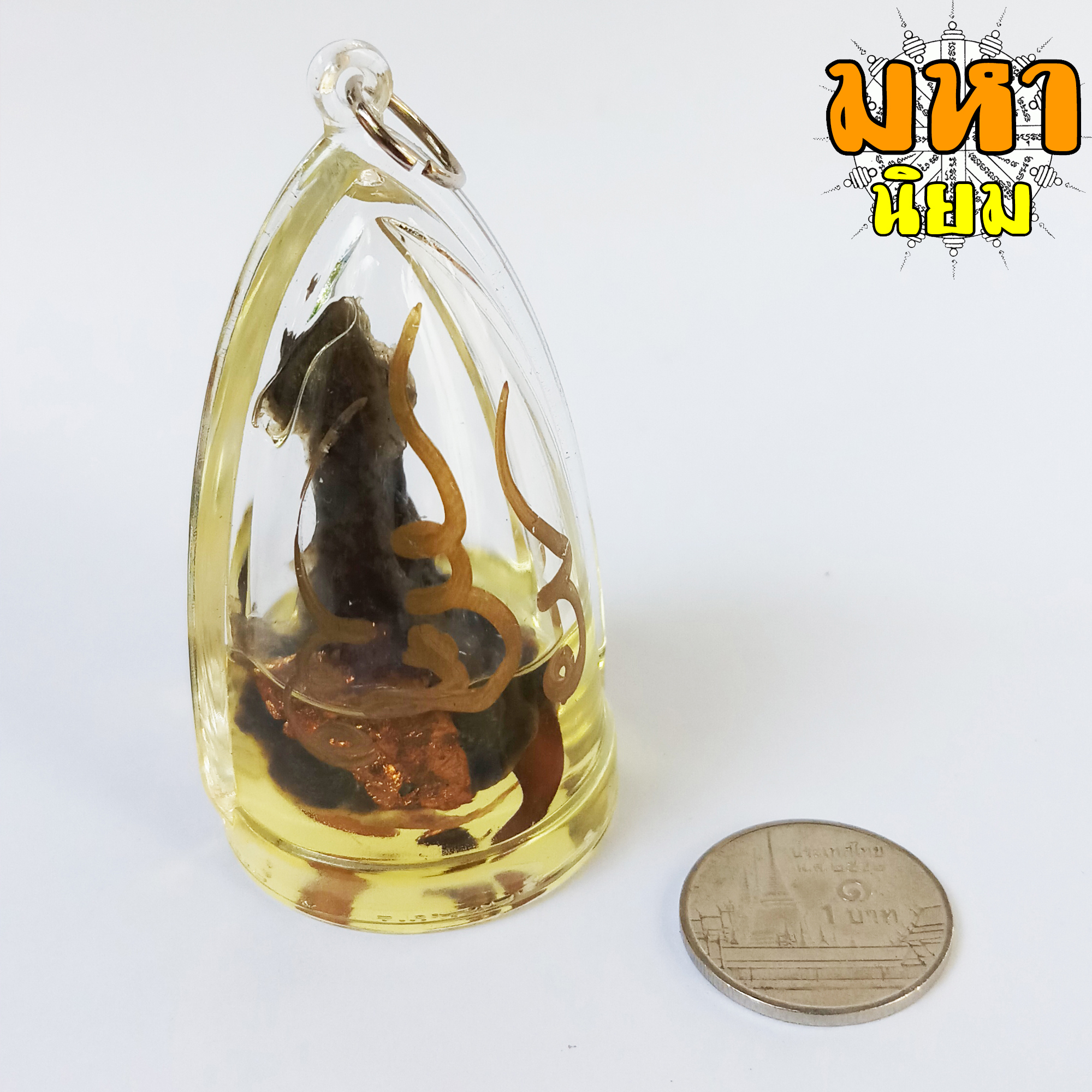 เดือยงูเหลือม ปิดทอง แช่มันว่าน เลี่ยมกรอบอย่างดี (ไม่สามารถเปิดเผยแหล่งที่มาได้)